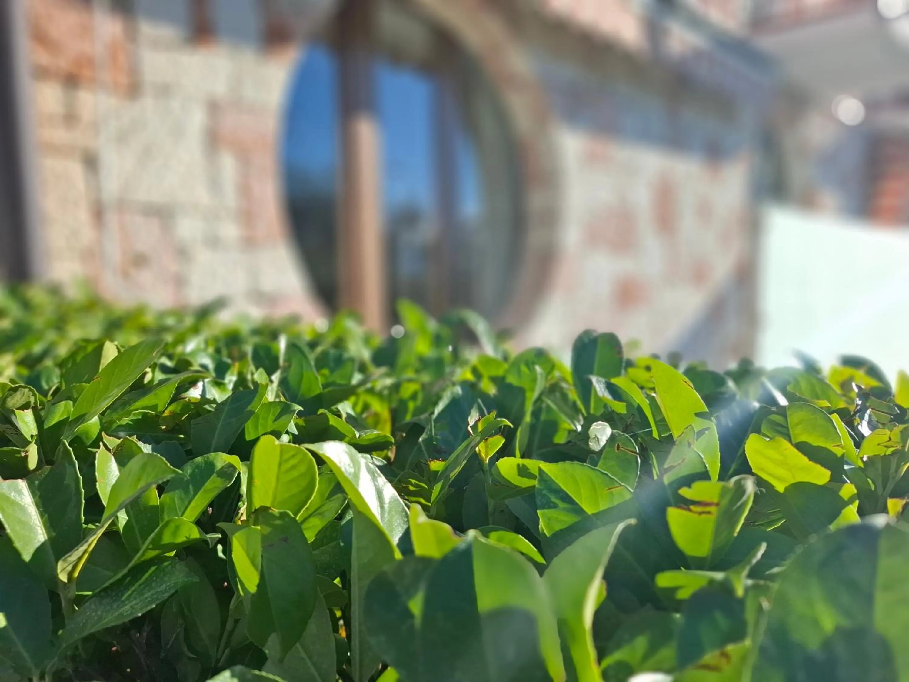 Residence Villa Margherita