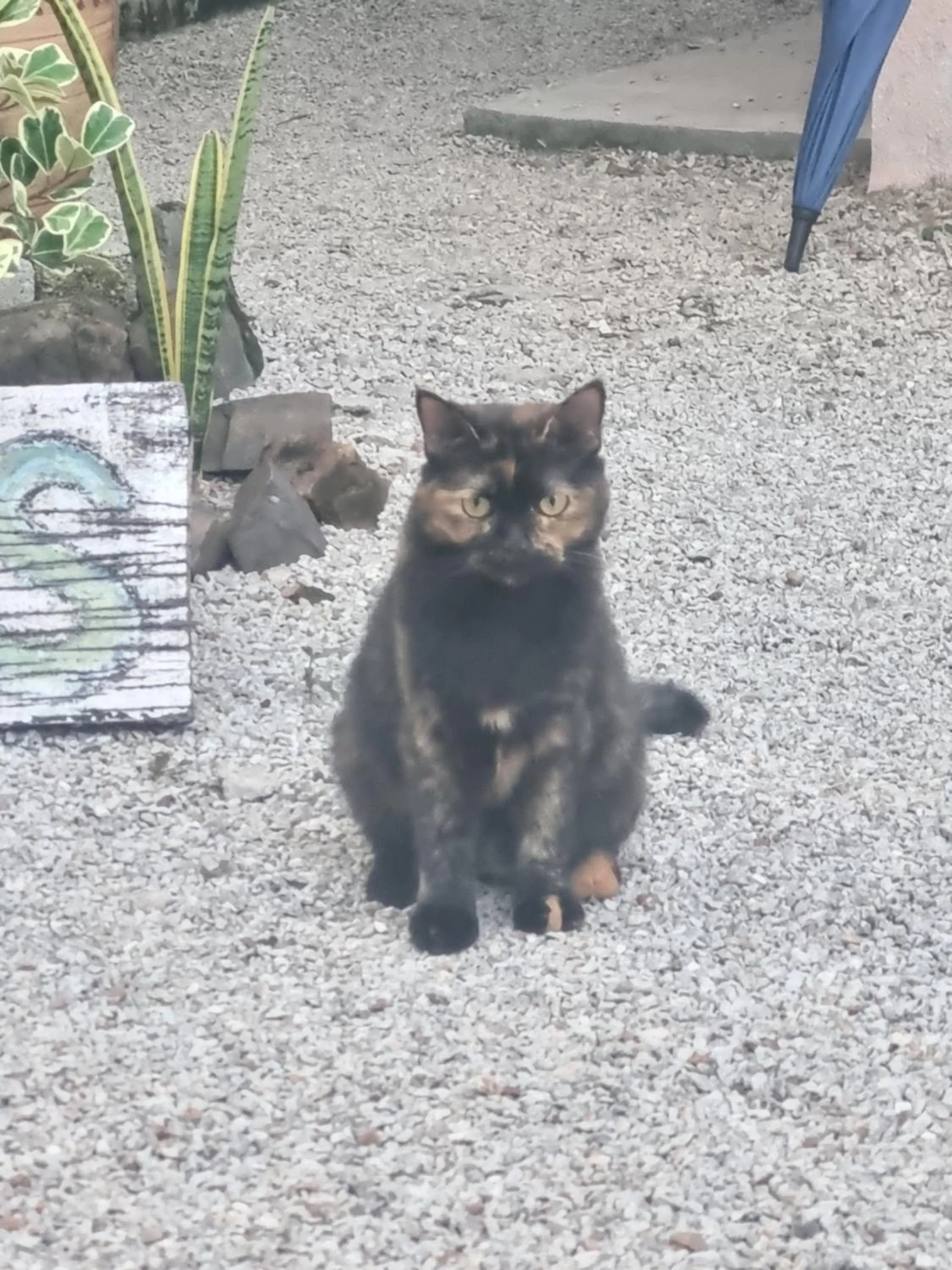 Seven Stones Langkawi