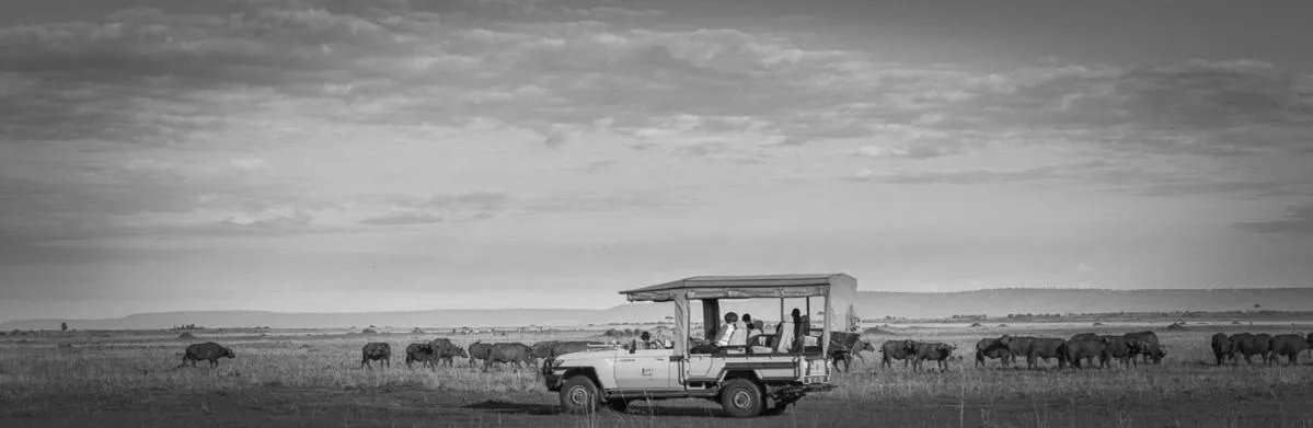 Mara Ngenche Safari Camp - Maasai Mara National Reserve