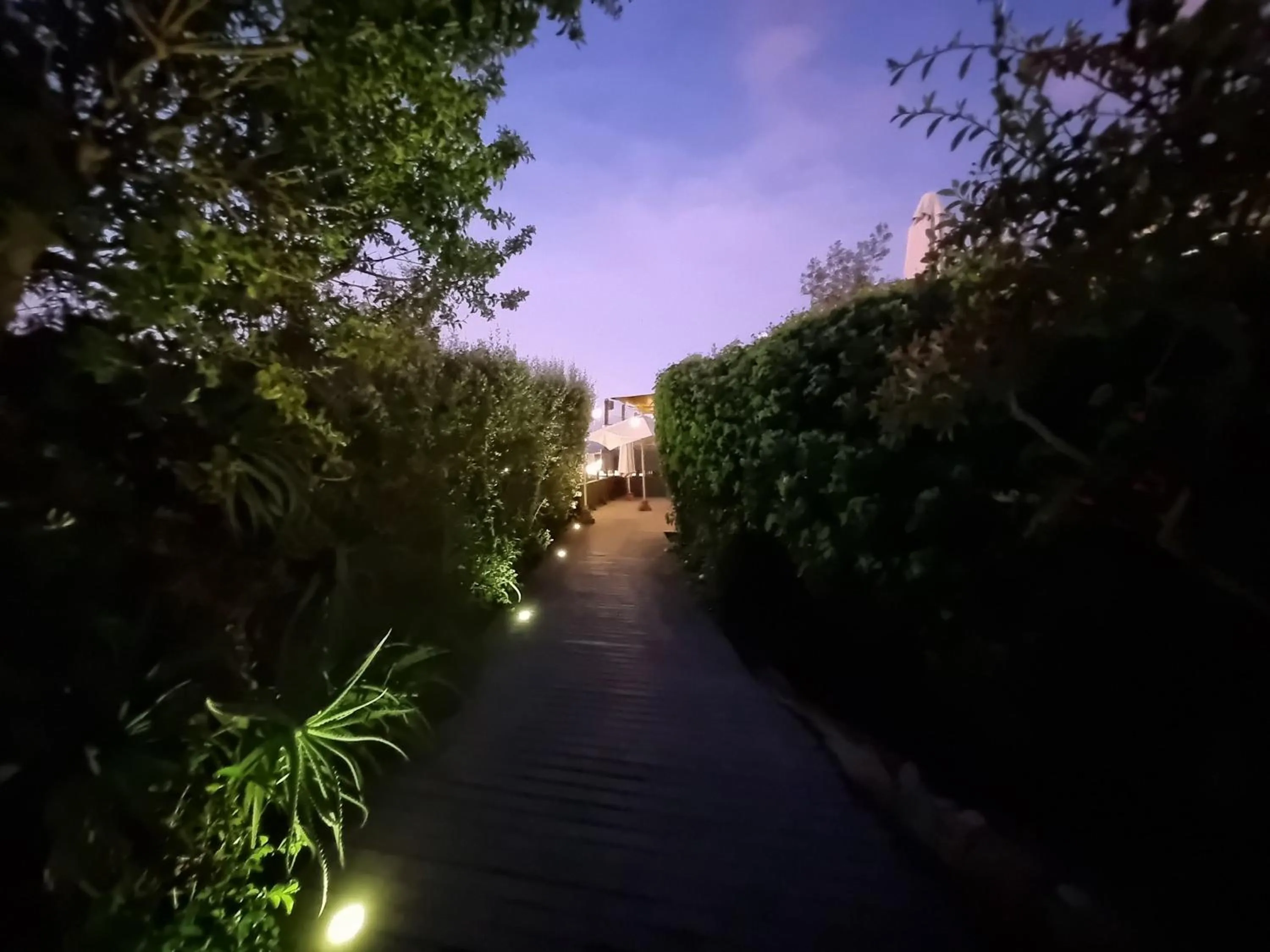 Natural landscape in Winery Hotel Boutique