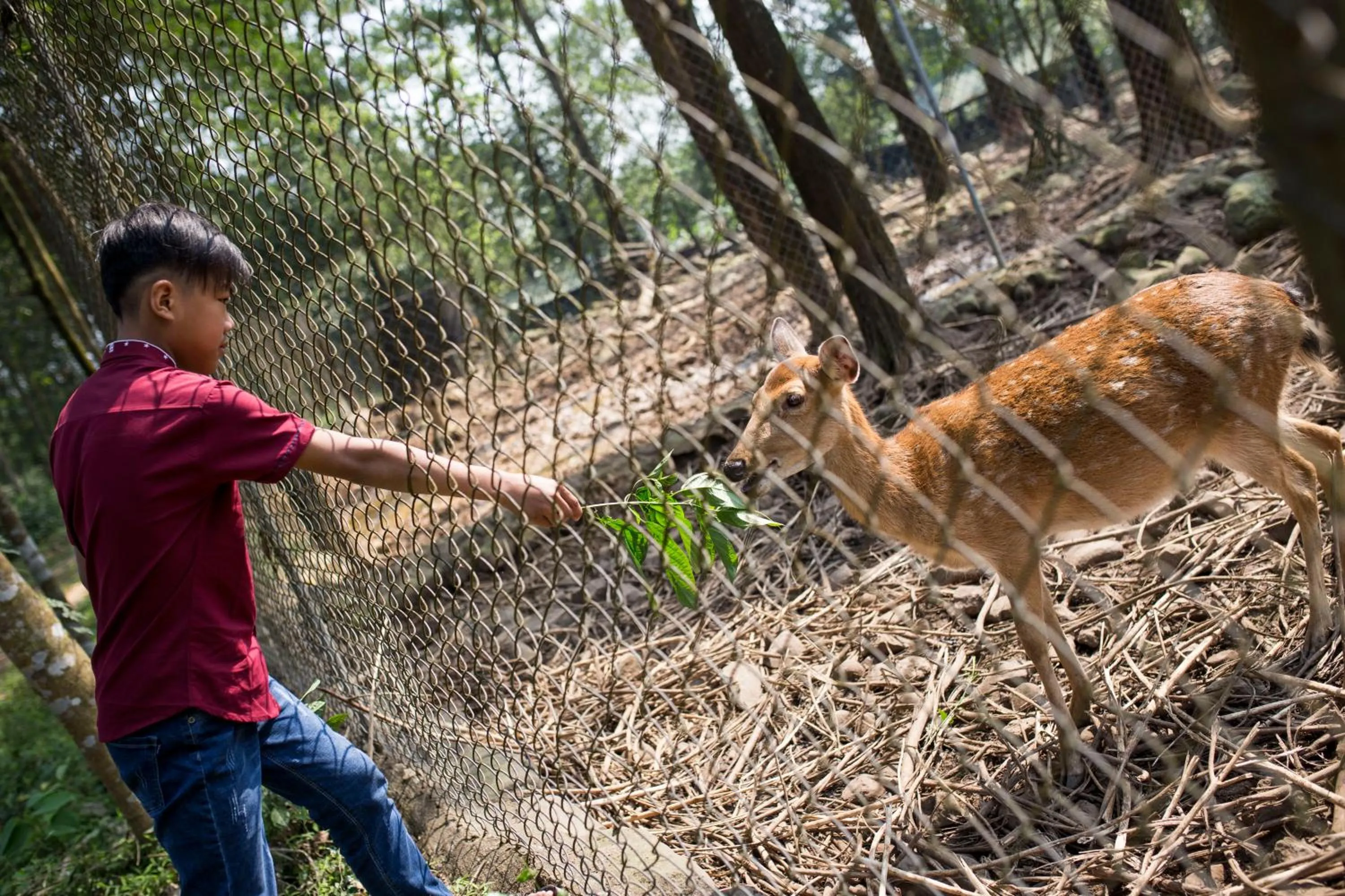Activities in Thanh Tan Hot Springs By Fusion