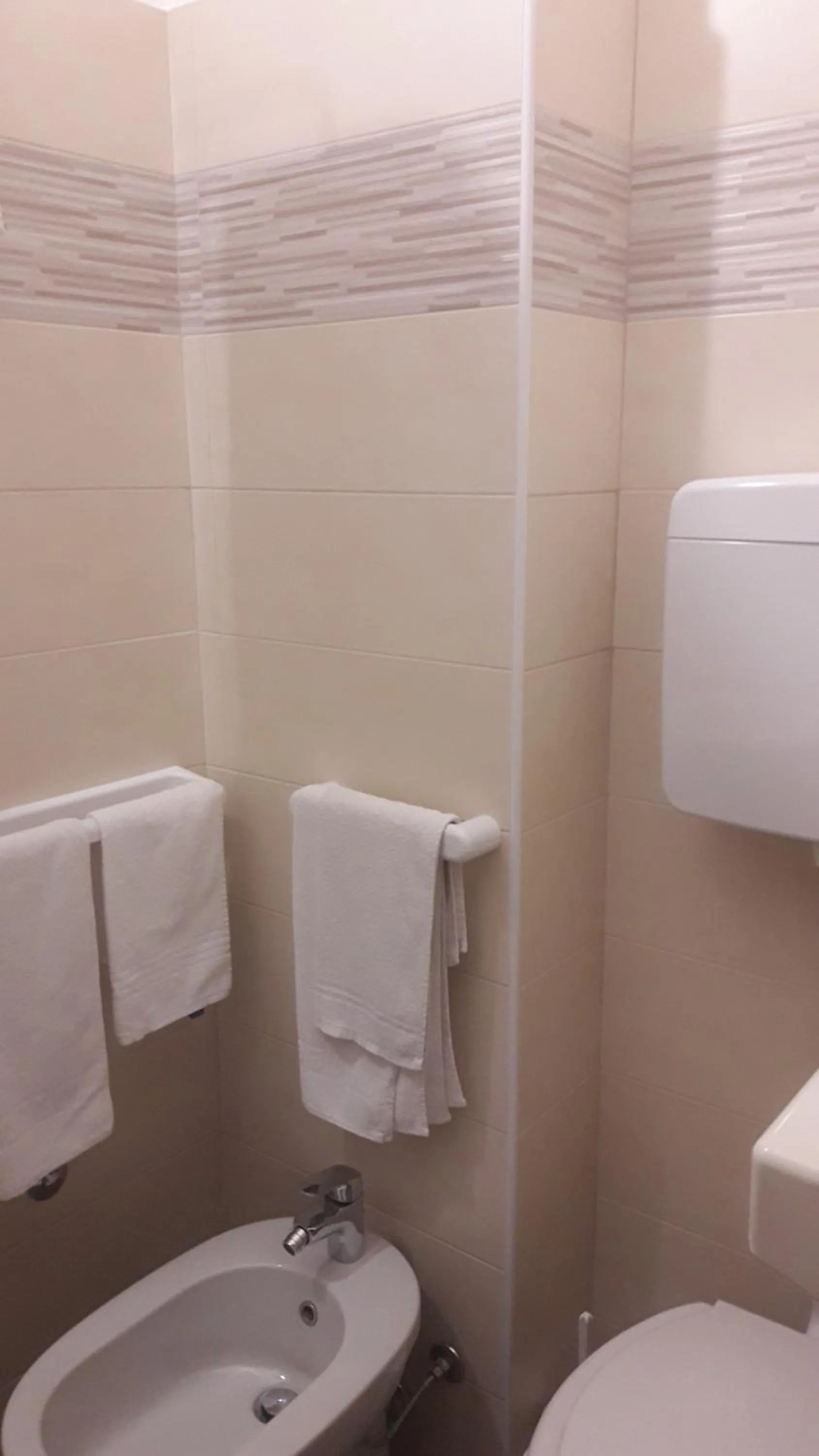 Toilet in Hotel Imperiale