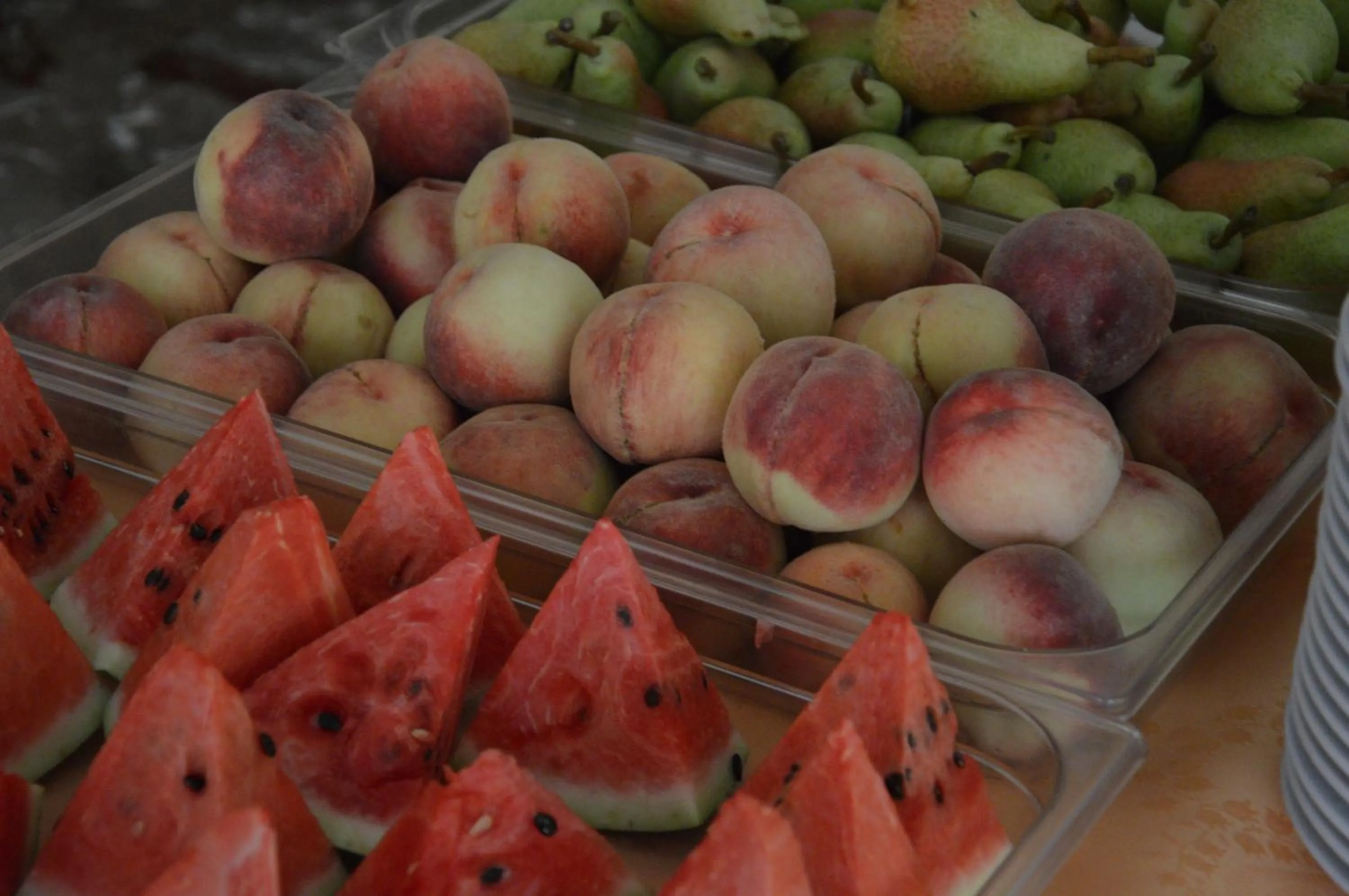 Food and drinks in Hotel Imperiale