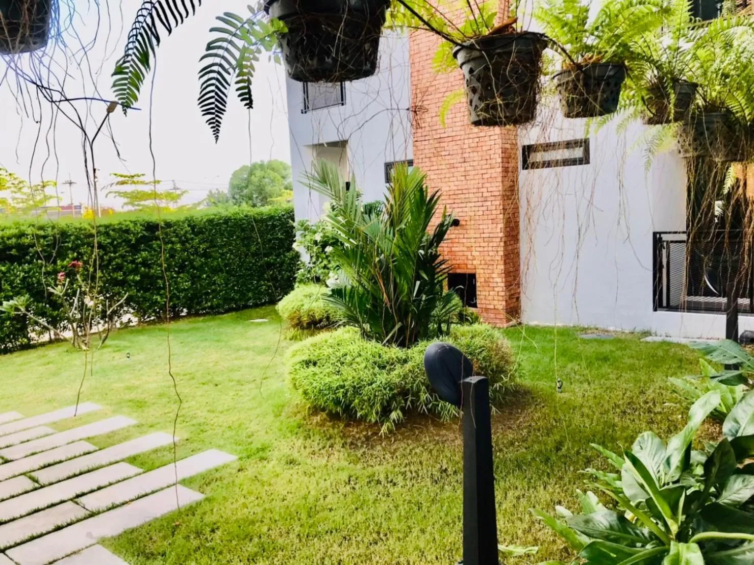 Garden in Loft 202 Hotel