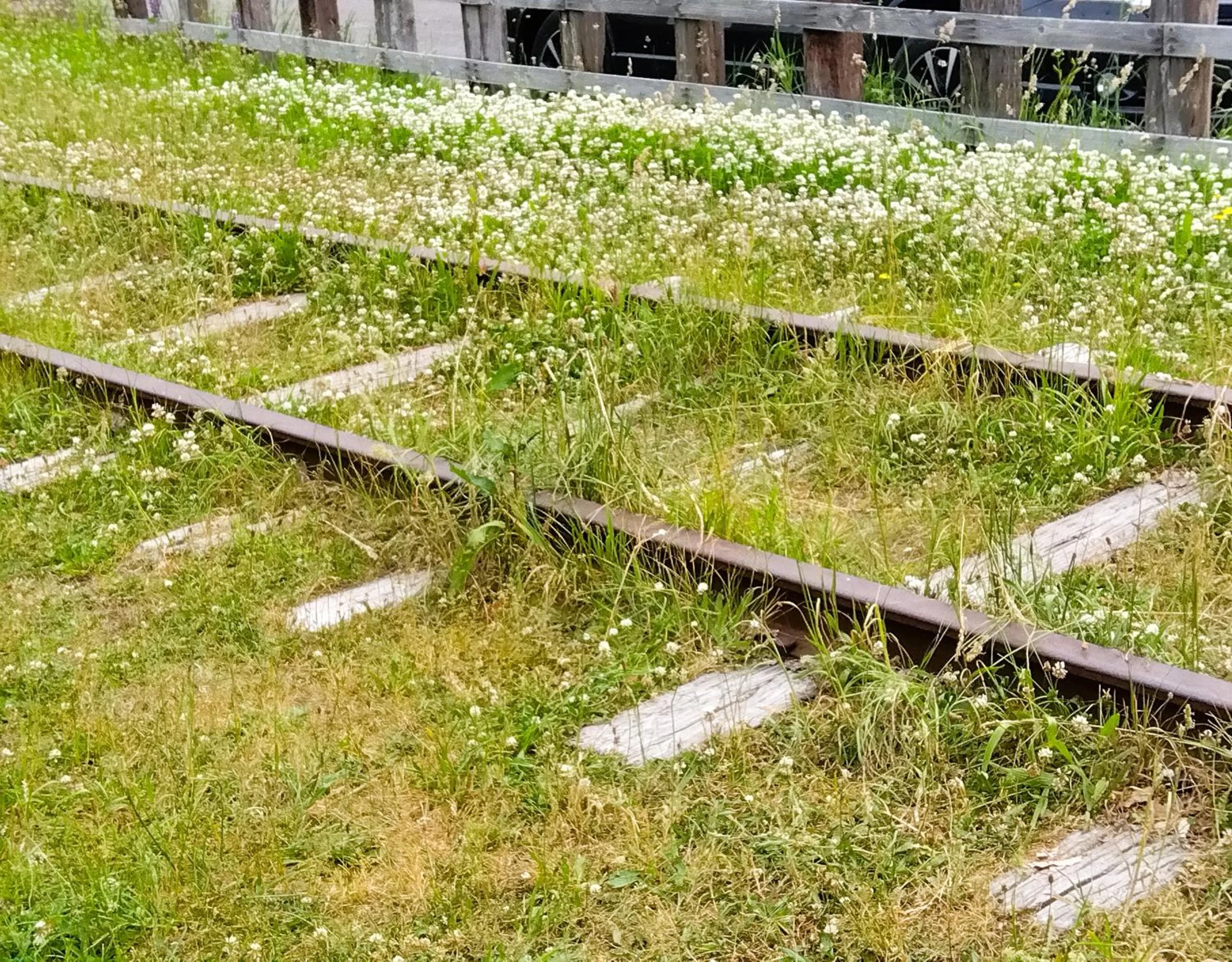 Nearby landmark in GRIDS PREMIUM HOTEL OTARU