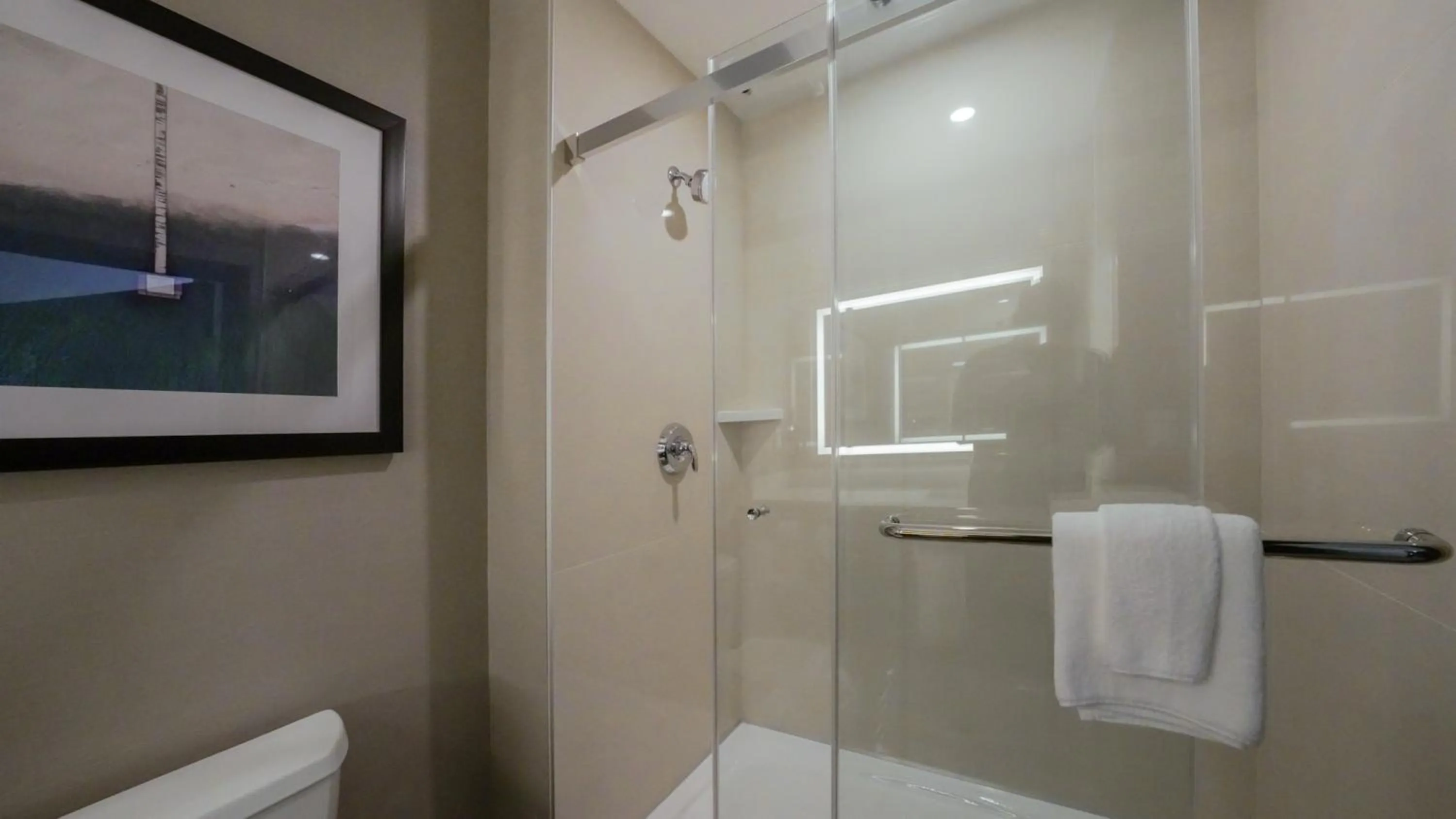 Bathroom in La Quinta Inn & Suites by Wyndham Santa Cruz