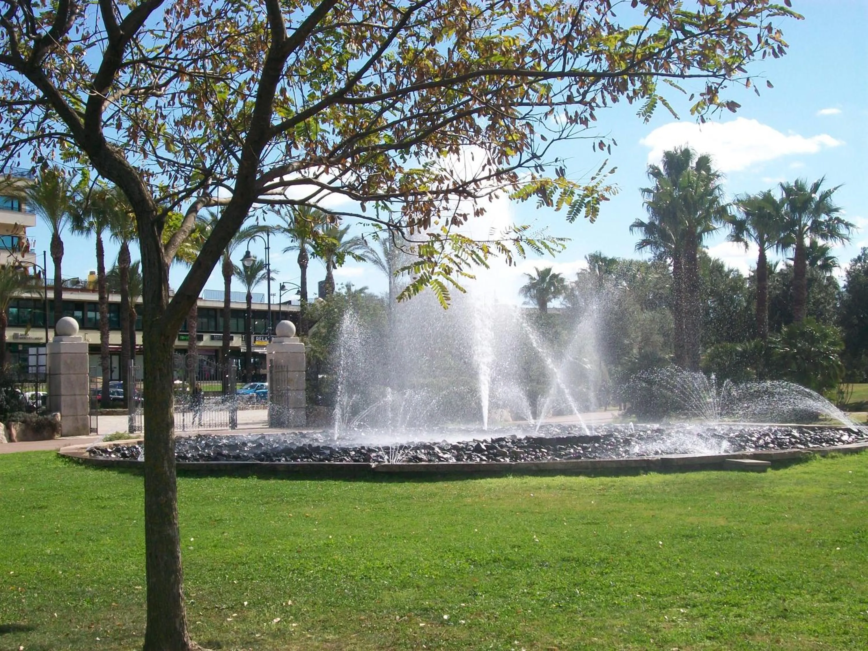 Area and facilities in Hotel Terranova