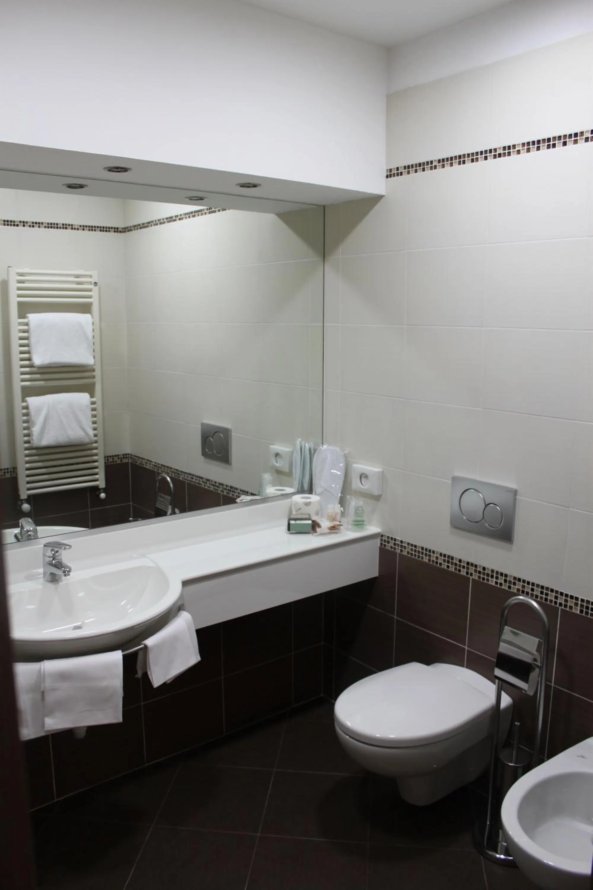 Toilet in Hotel Continental