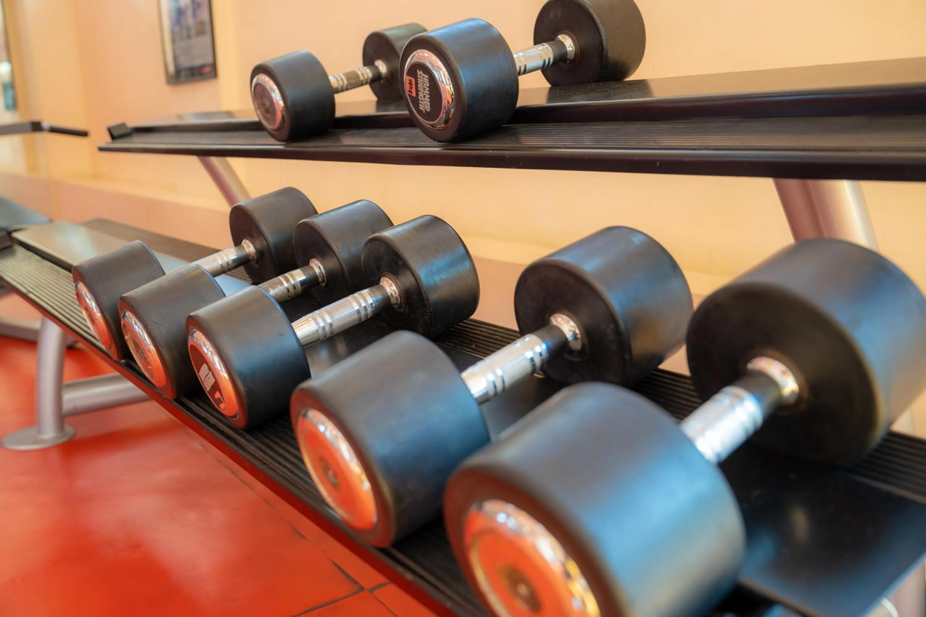 Activities in Hotel Roma Aurelia Antica