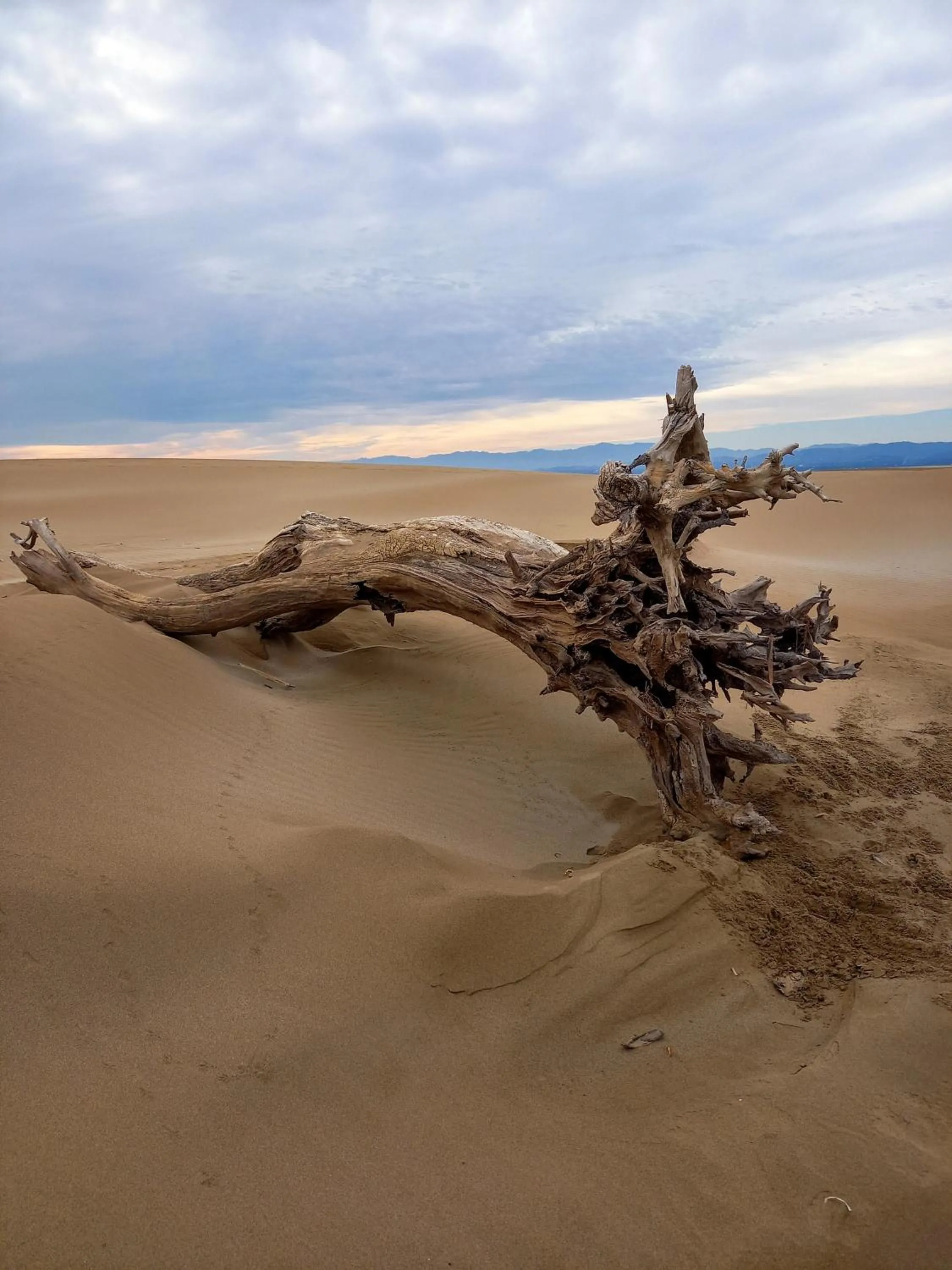 Natural landscape in L'Hotelet del Delta - adults