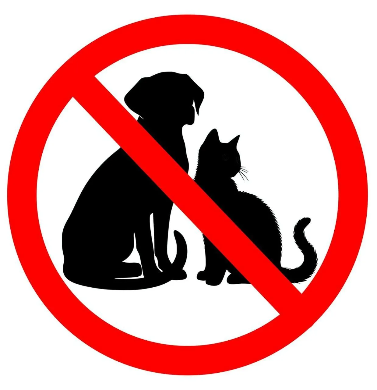 Ancora Sport Resort Hotel