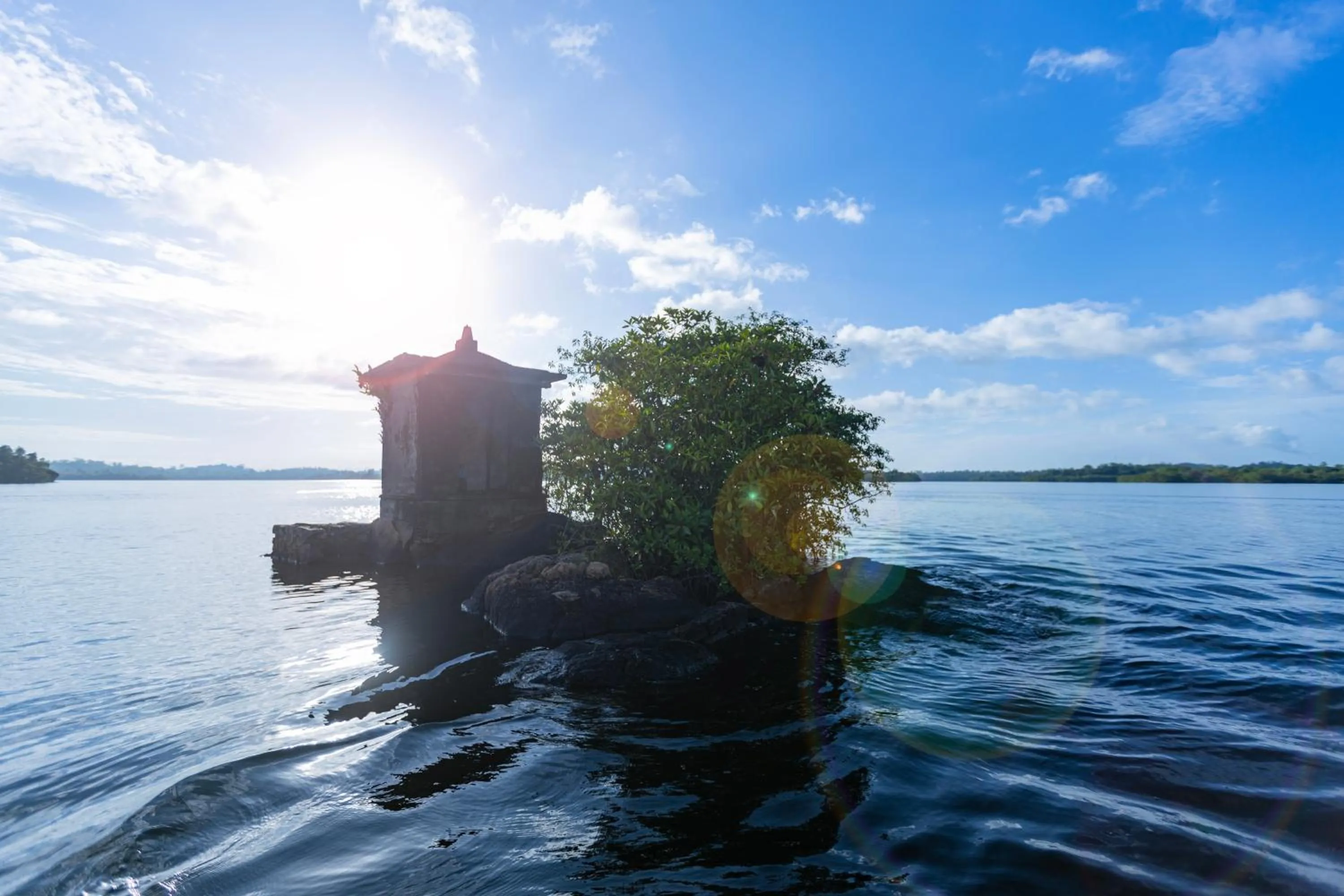 Natural landscape in THE Mangrove cave Hotel