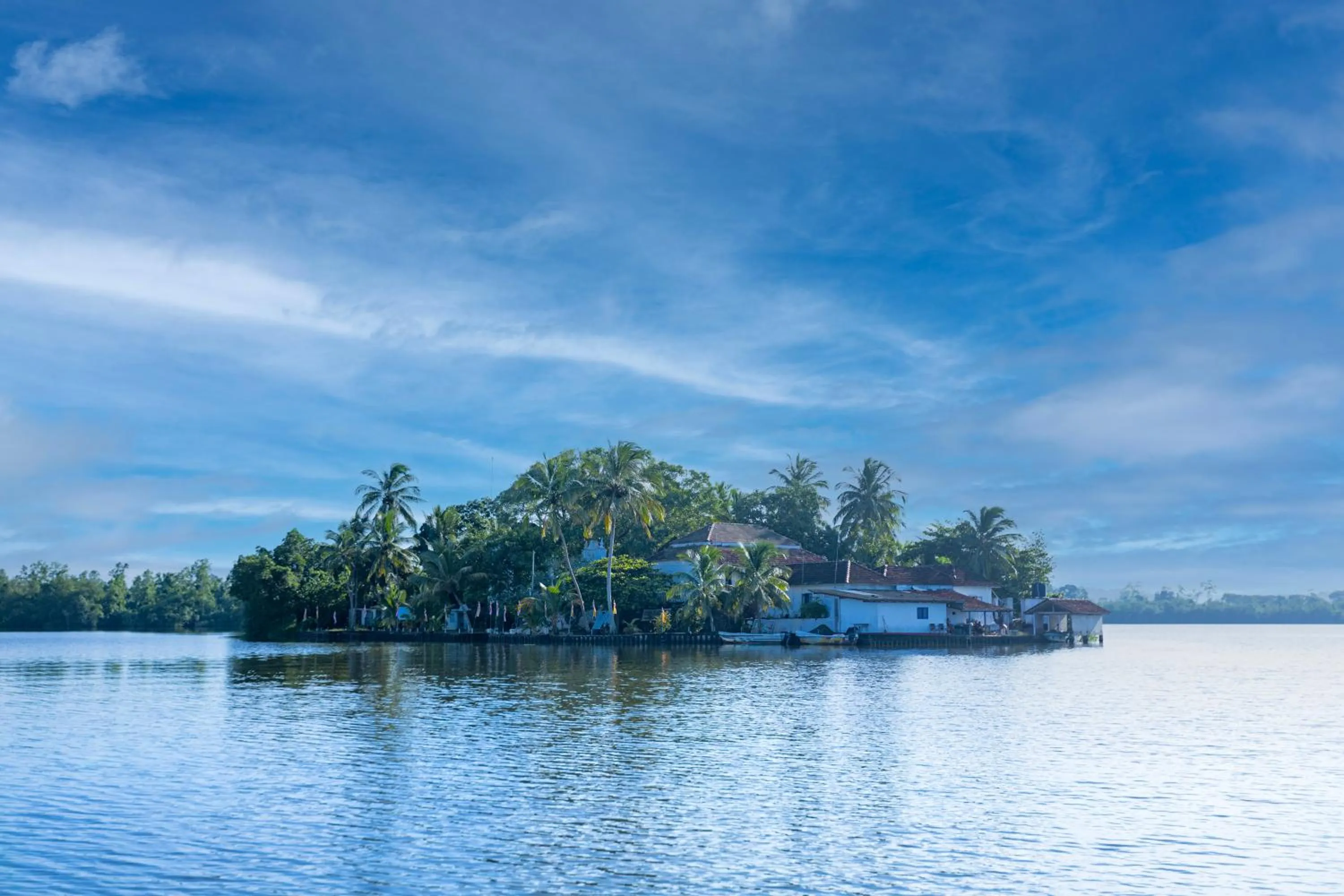River view in THE Mangrove cave Hotel