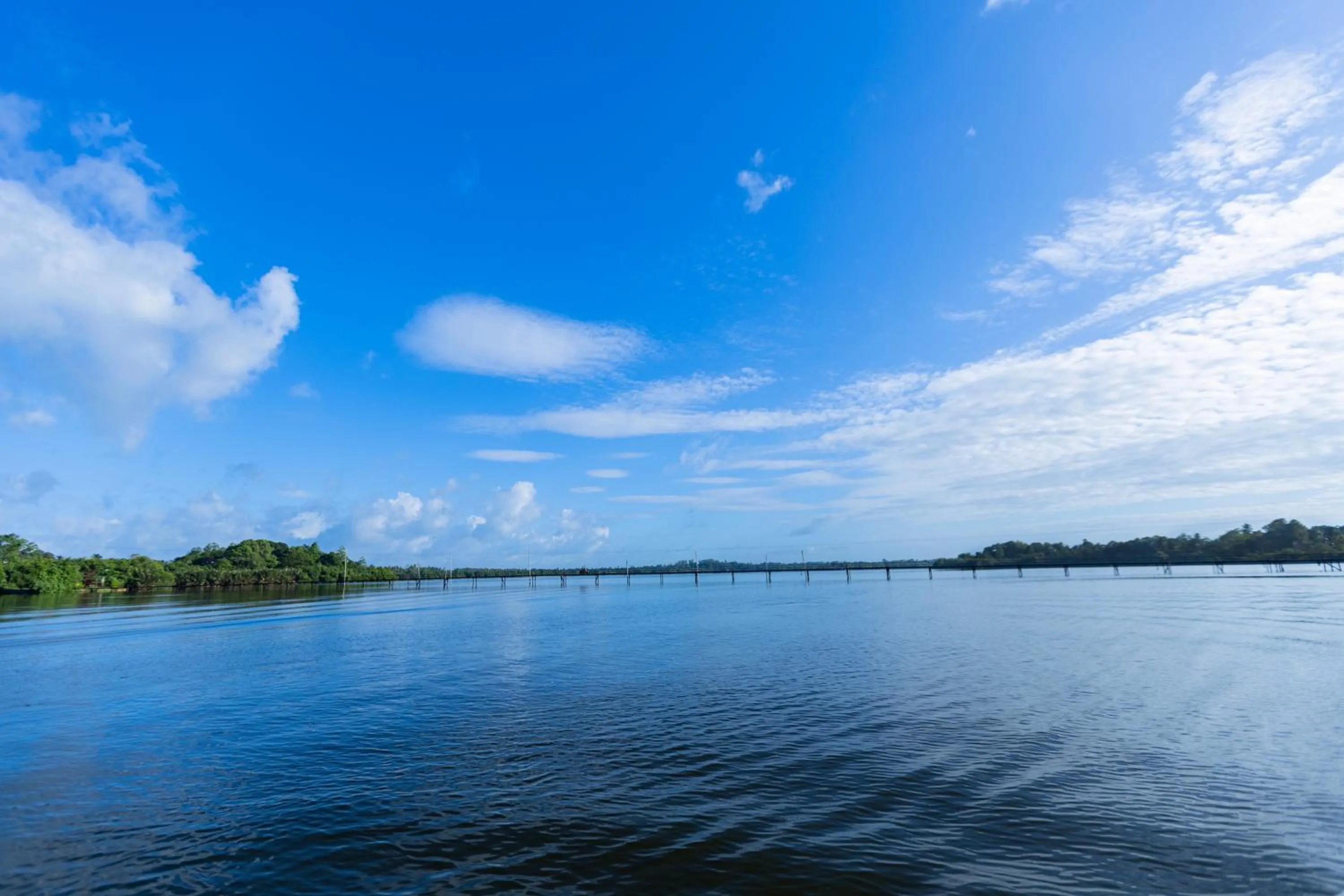Natural landscape in THE Mangrove cave Hotel