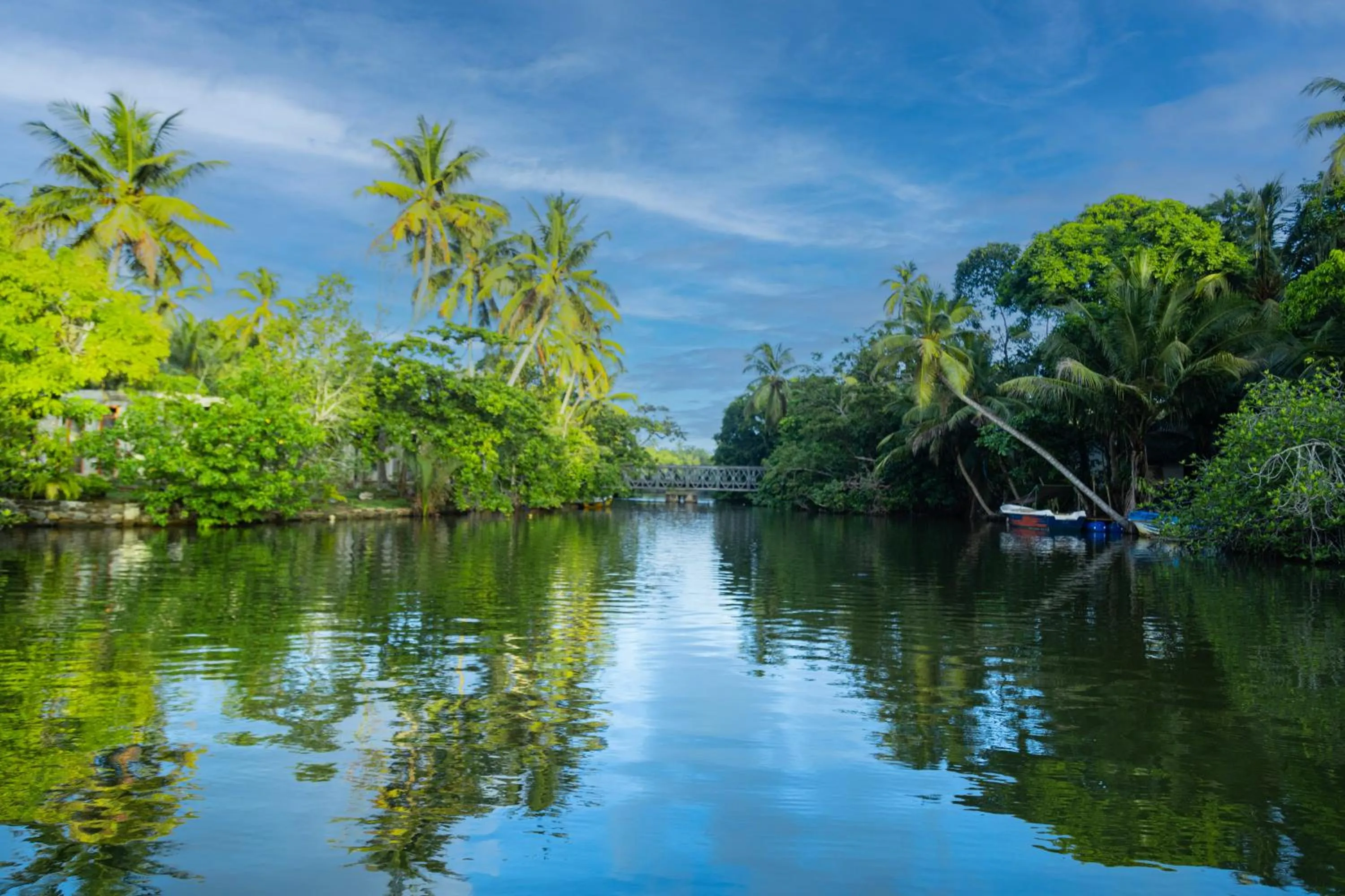 Activities in THE Mangrove cave Hotel
