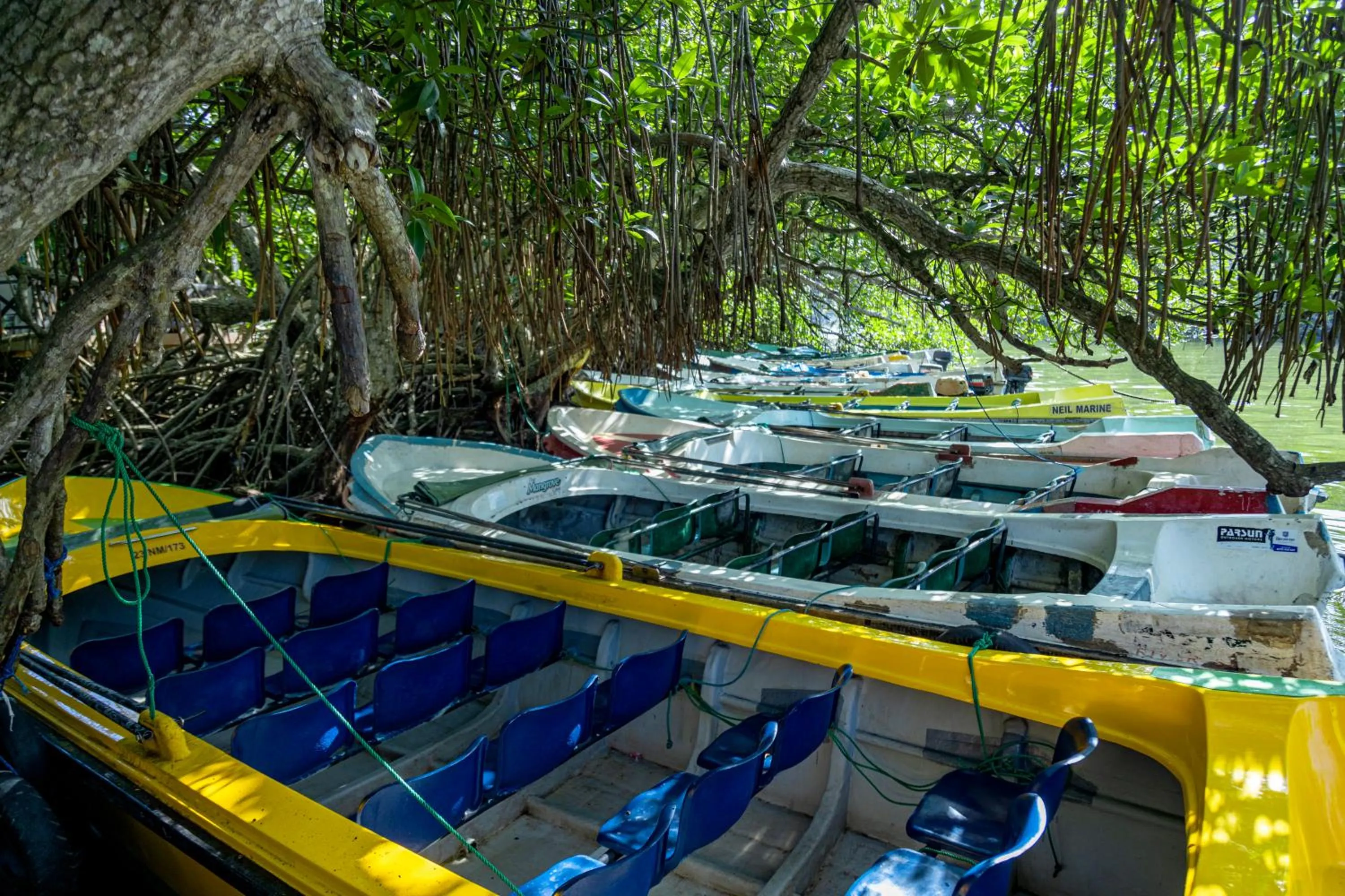 THE Mangrove cave Hotel