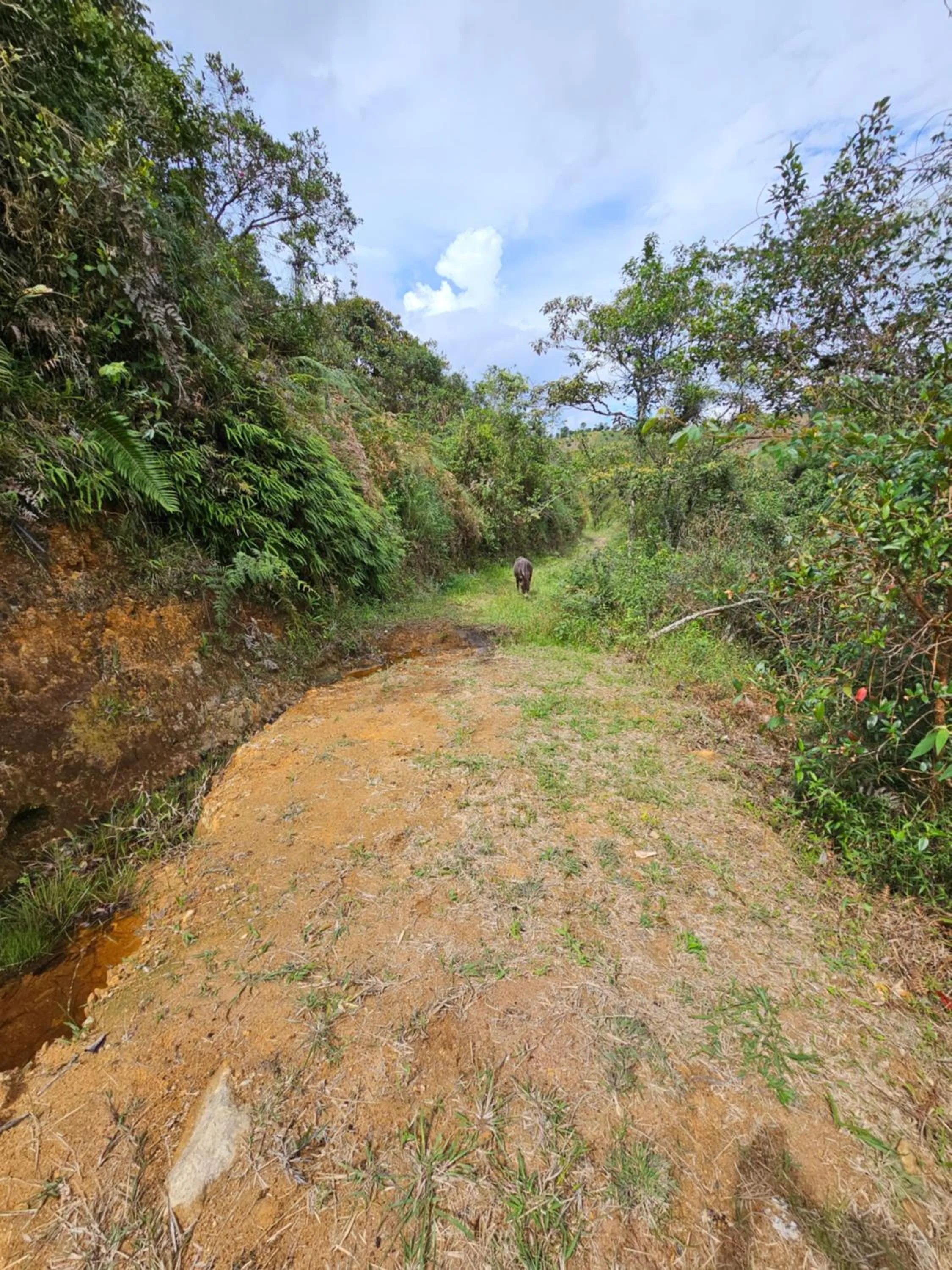 Hiking in HOSTERÍA BRISAS DEL RÍO