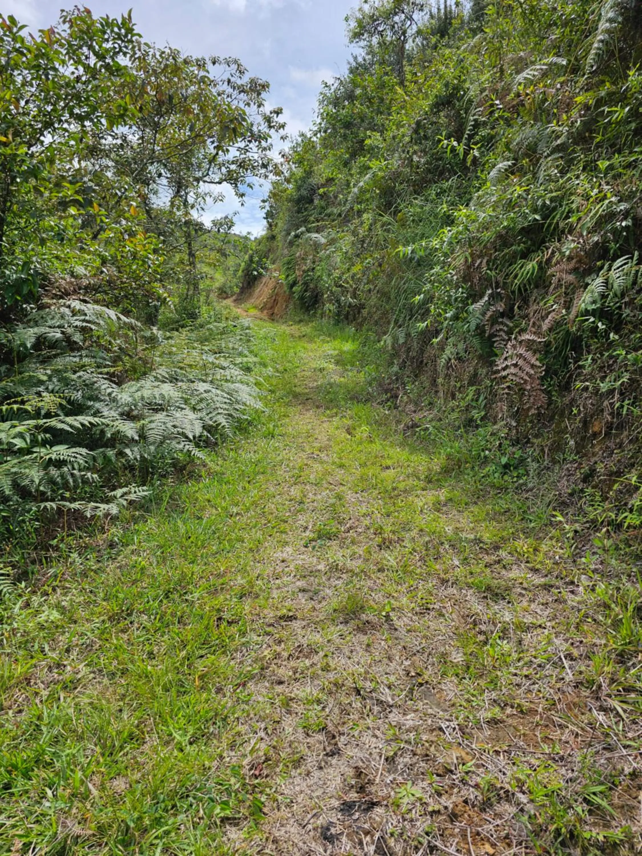 Hiking in HOSTERÍA BRISAS DEL RÍO