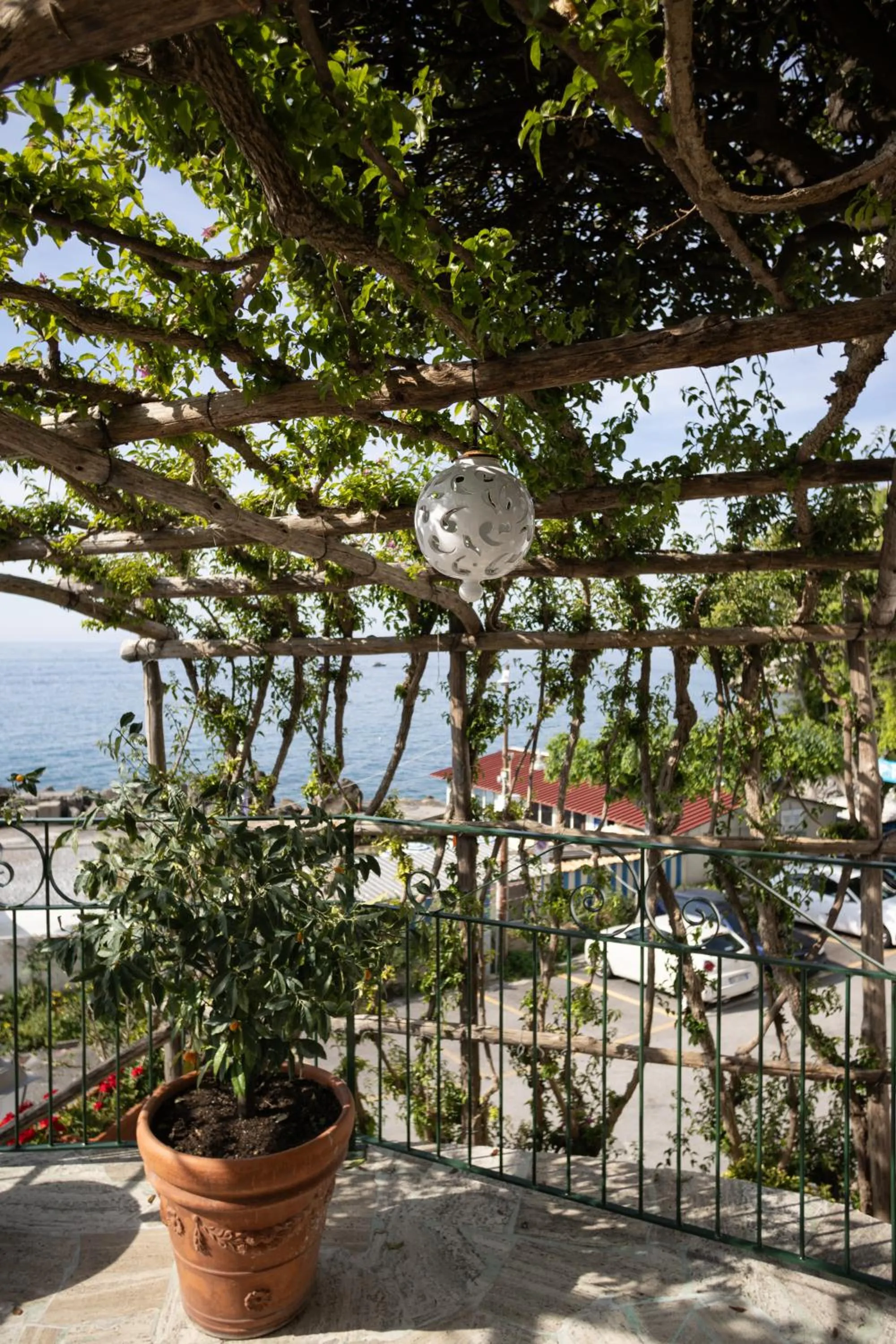 Garden in Hotel Aurora
