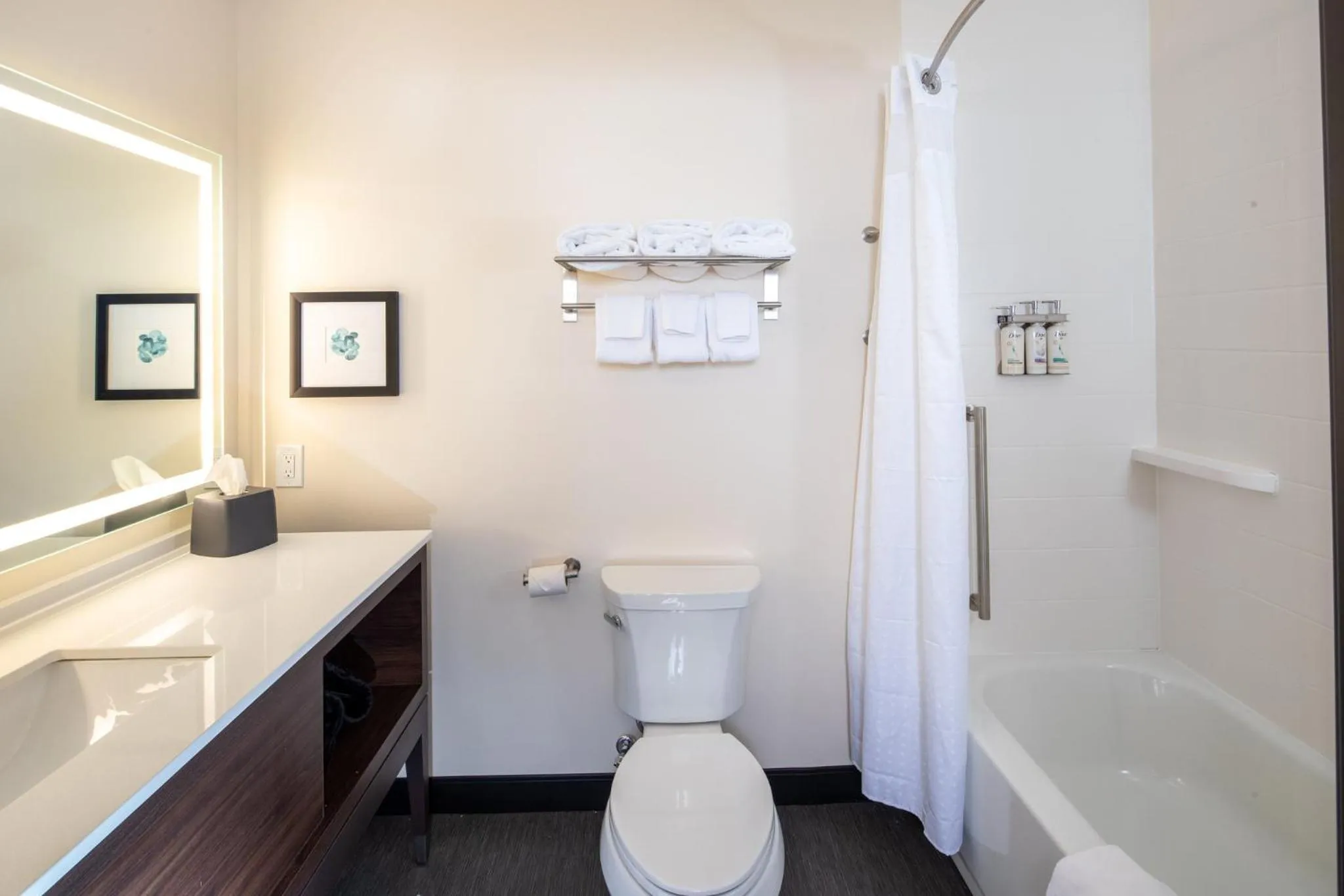 Photo of the whole room in Holiday Inn & Suites Detroit - Troy by IHG