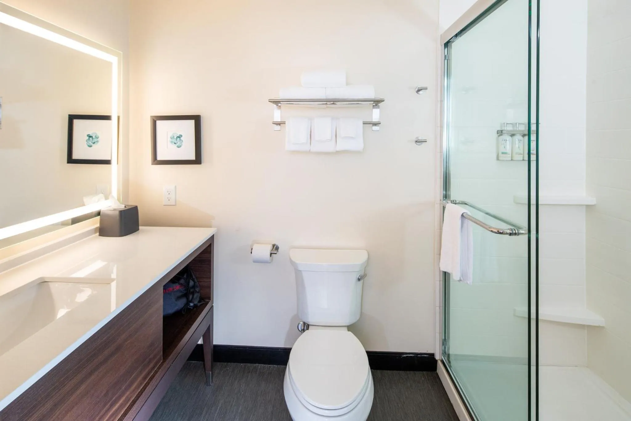 Bathroom in Holiday Inn & Suites Detroit - Troy by IHG