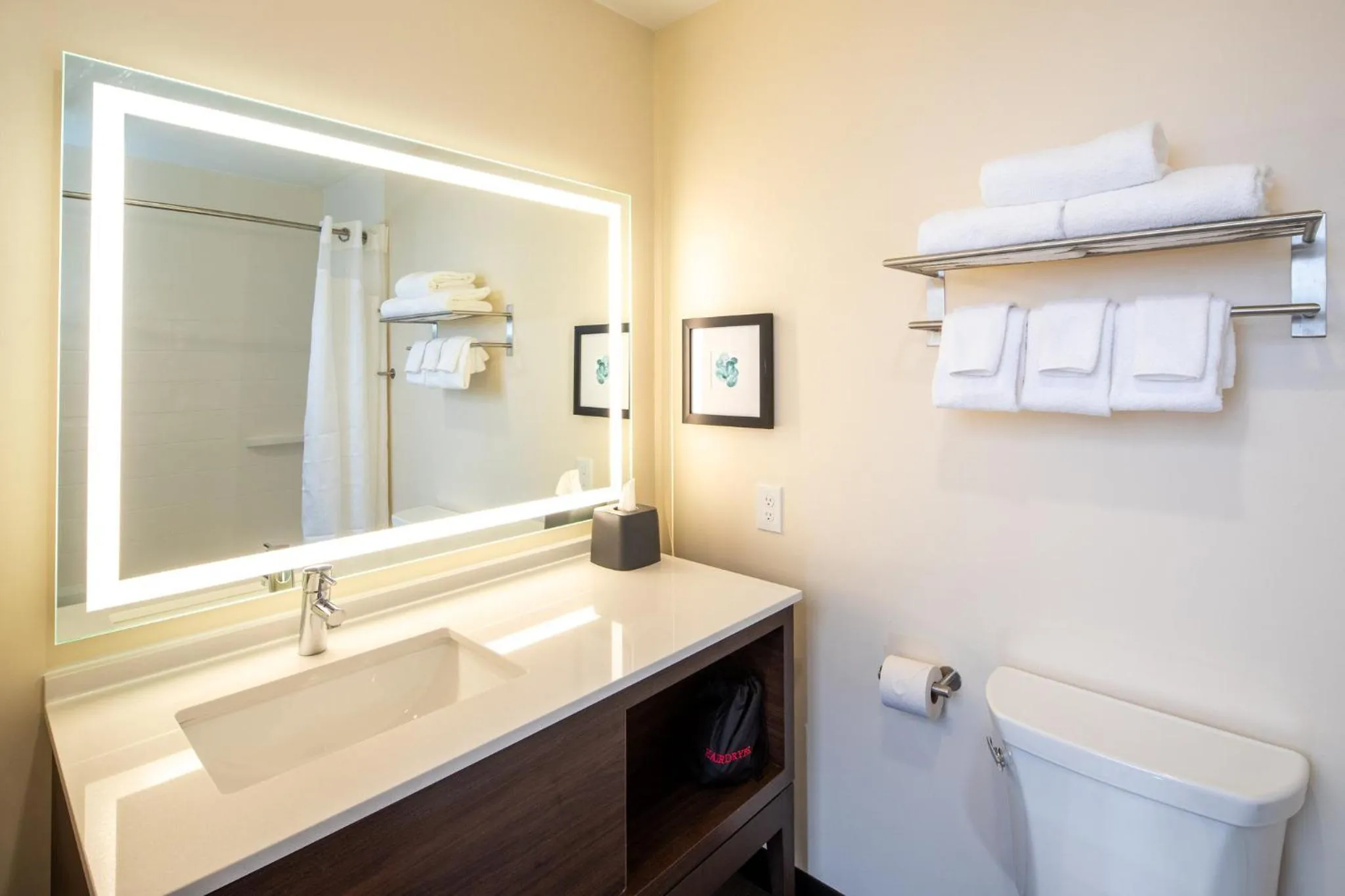 Bathroom in Holiday Inn & Suites Detroit - Troy by IHG