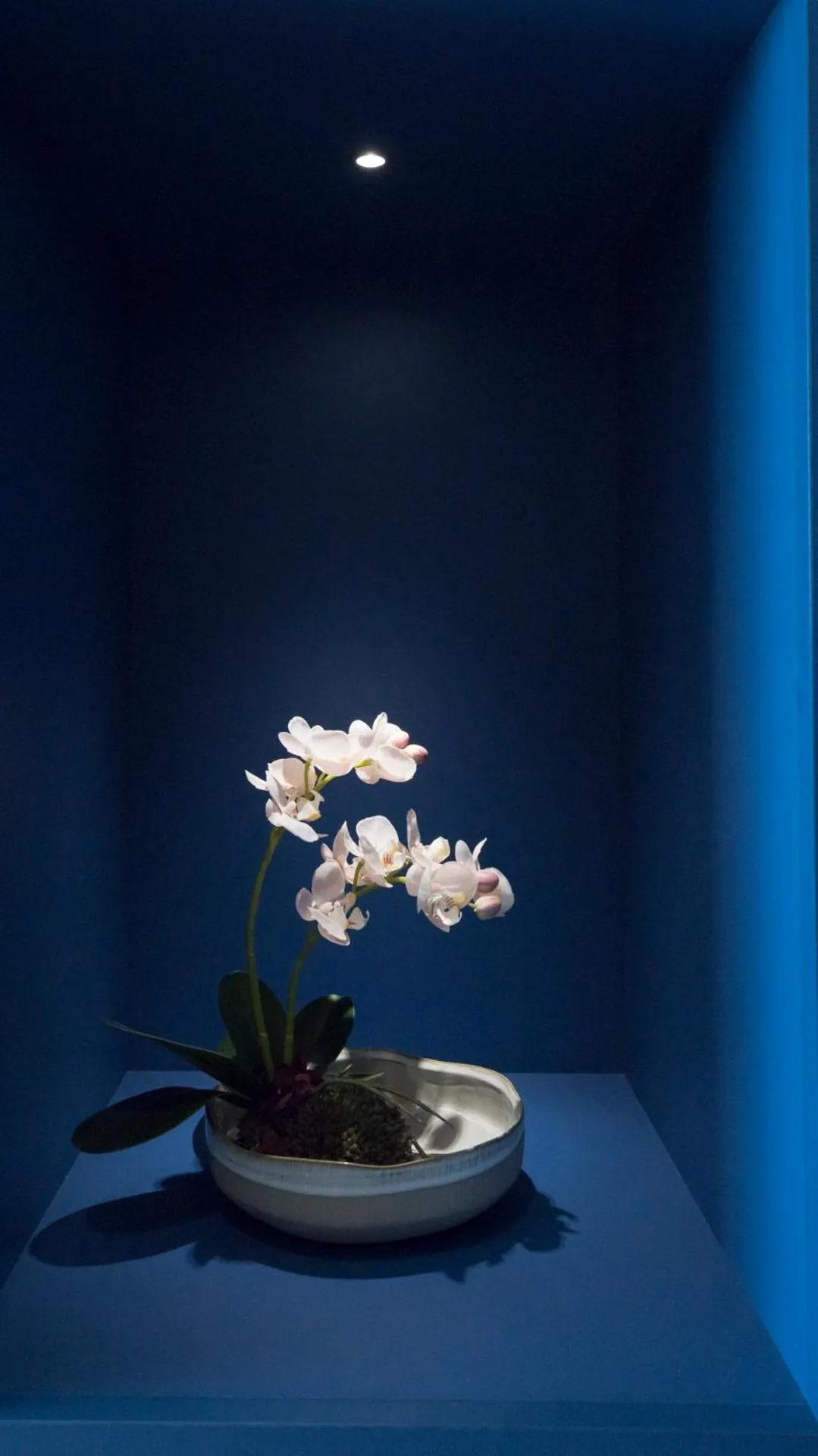 Decorative detail in JR Hotels Gigli Firenze