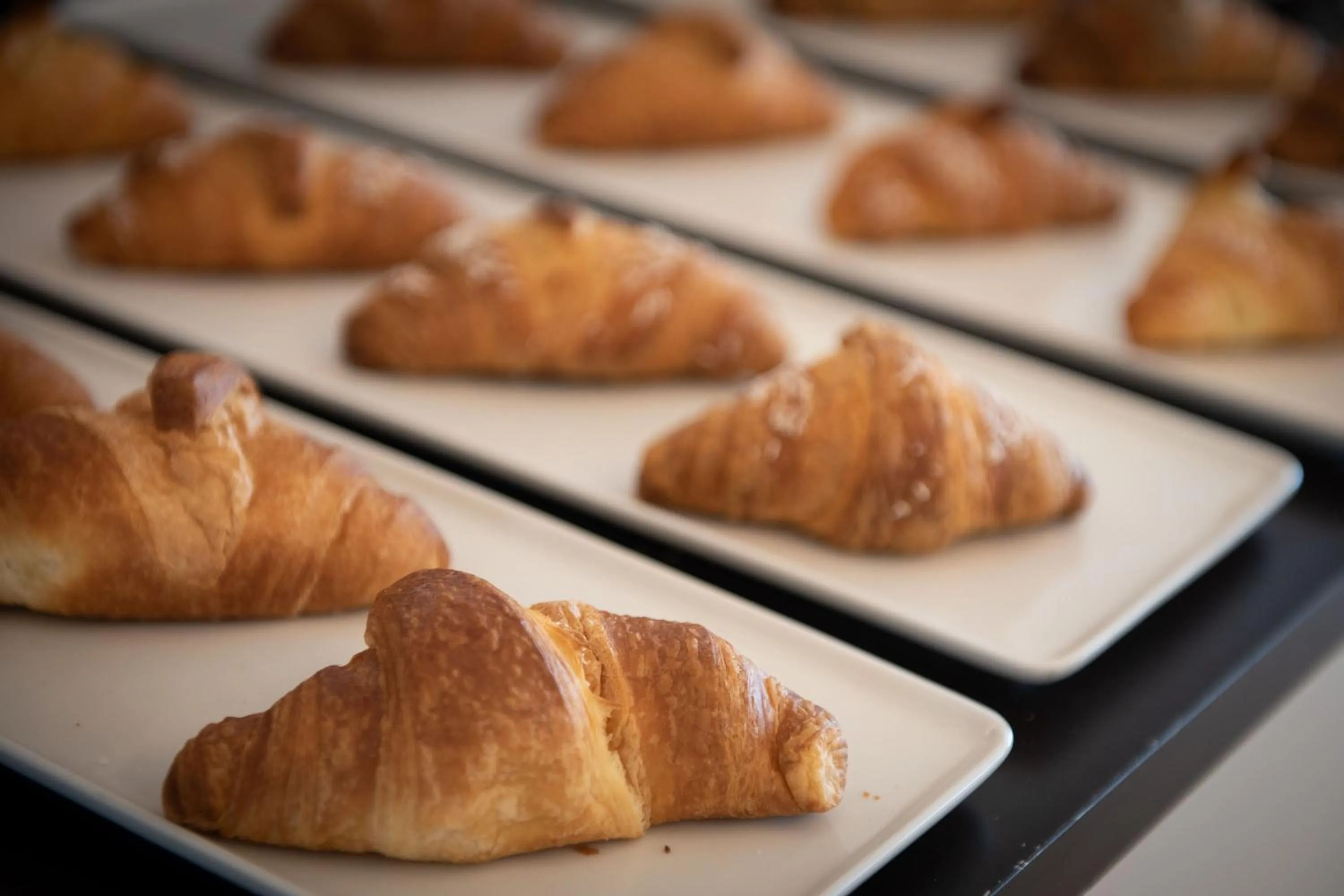 Food and drinks in JR Hotels Gigli Firenze