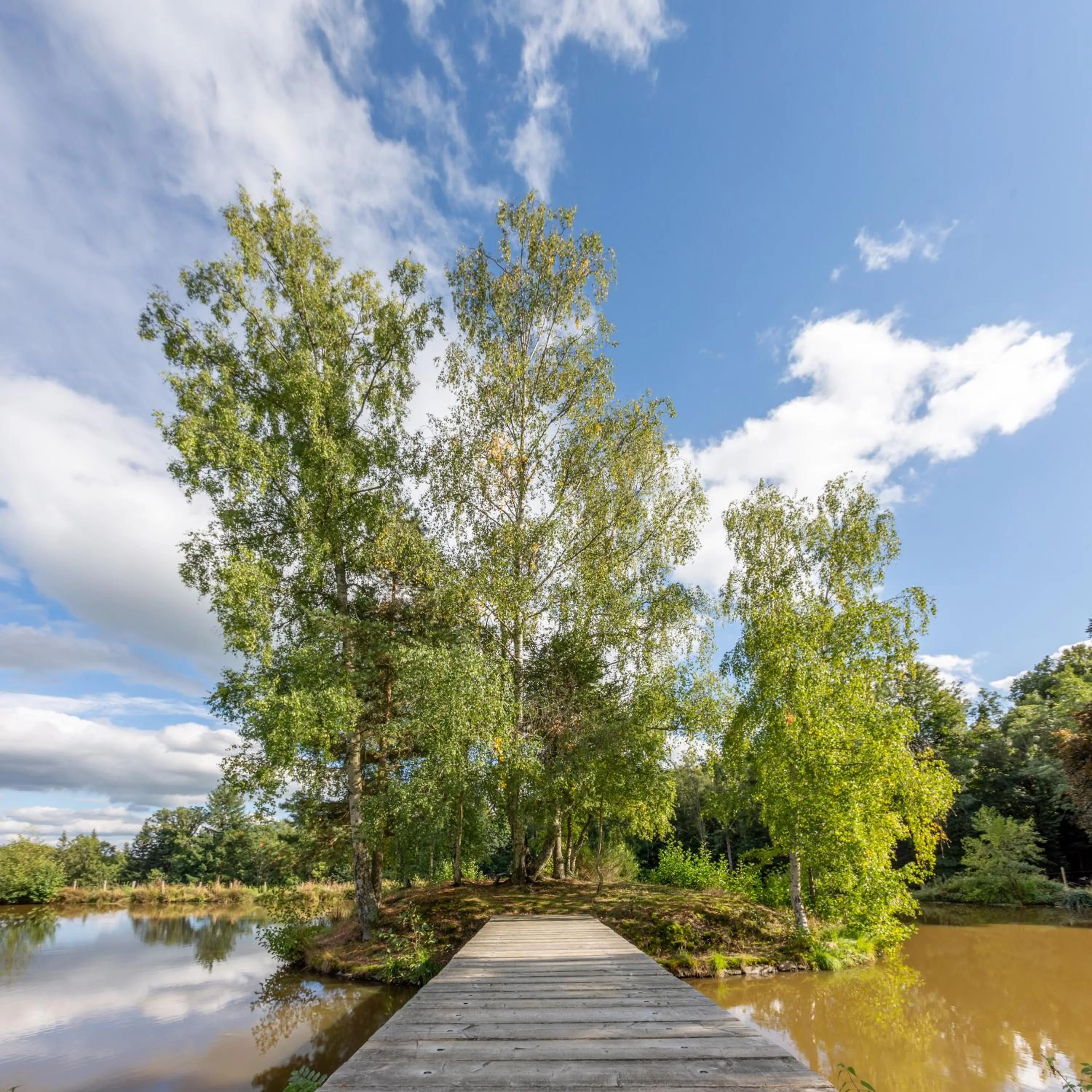 Natural landscape in Domaine et Château de Valinches