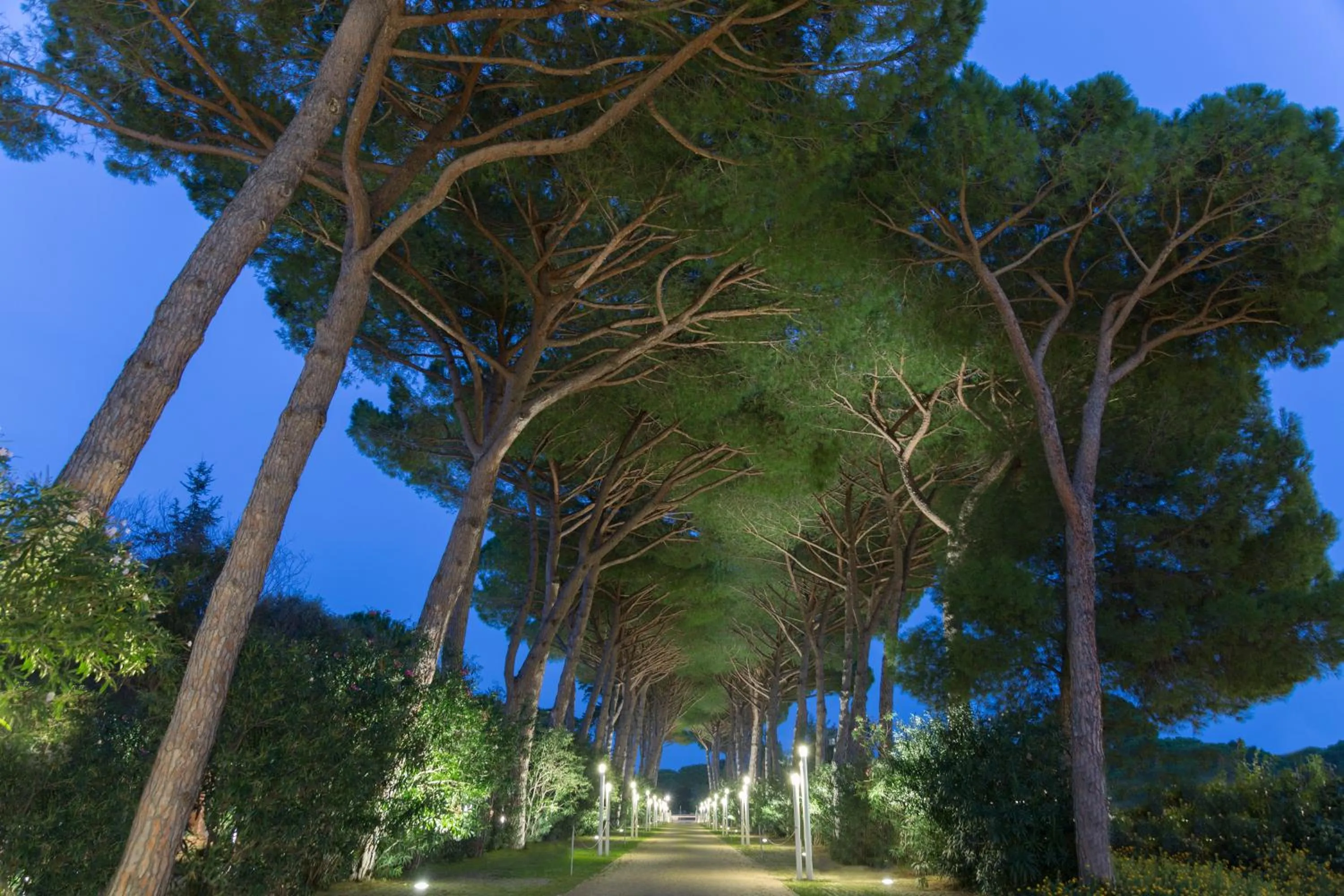 Decorative detail in Park Hotel Marinetta - Beach & Spa