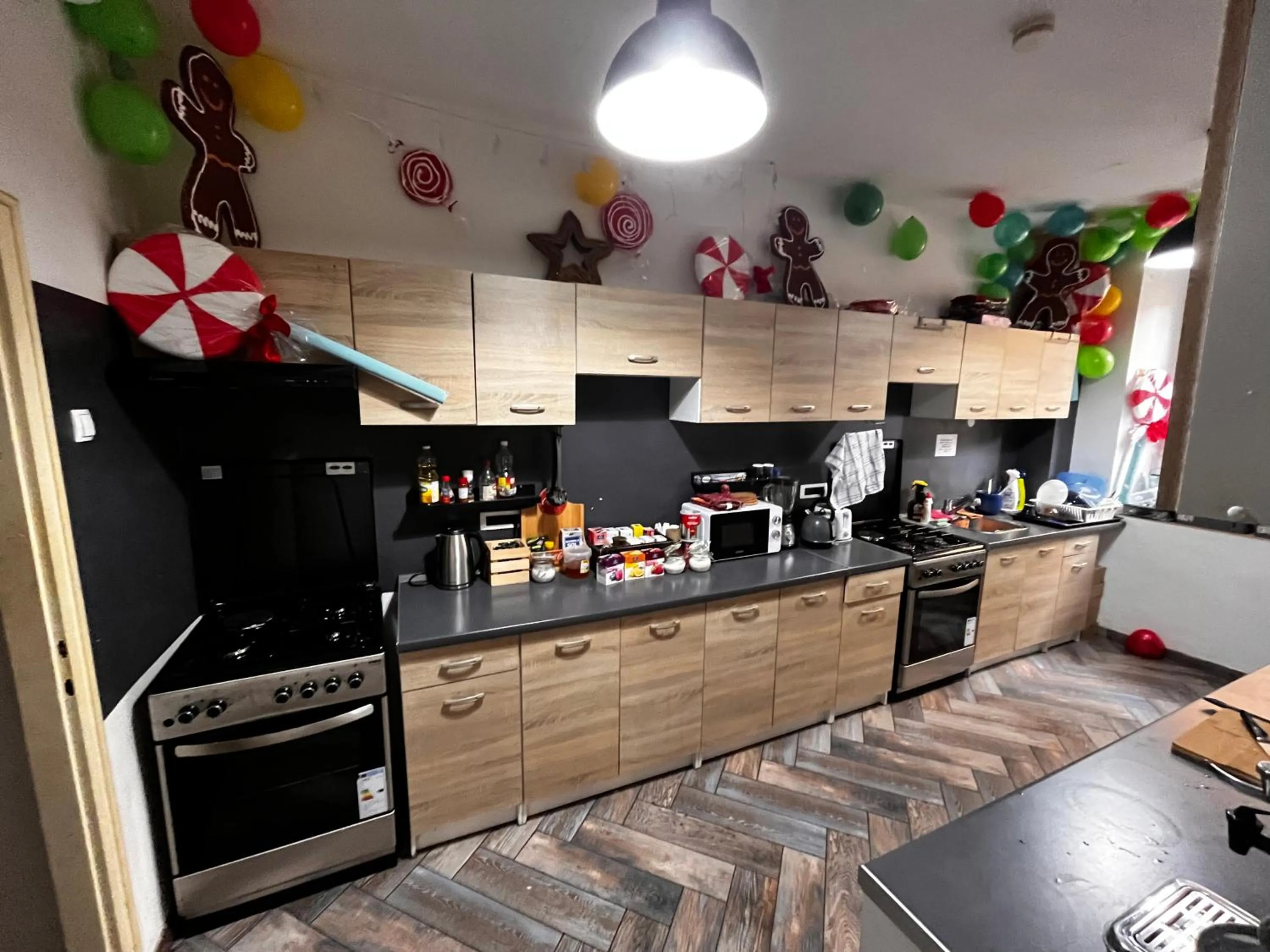 Kitchen or kitchenette in Hostel Old School