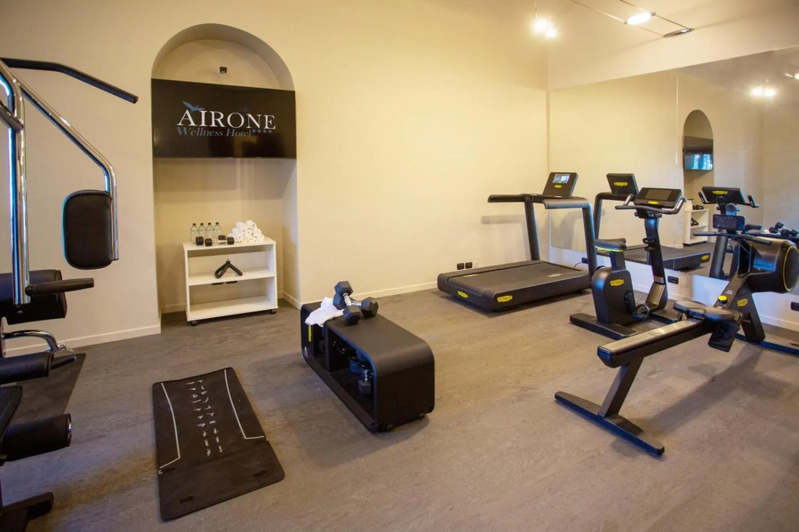 Fitness centre/facilities in Airone Wellness Hotel