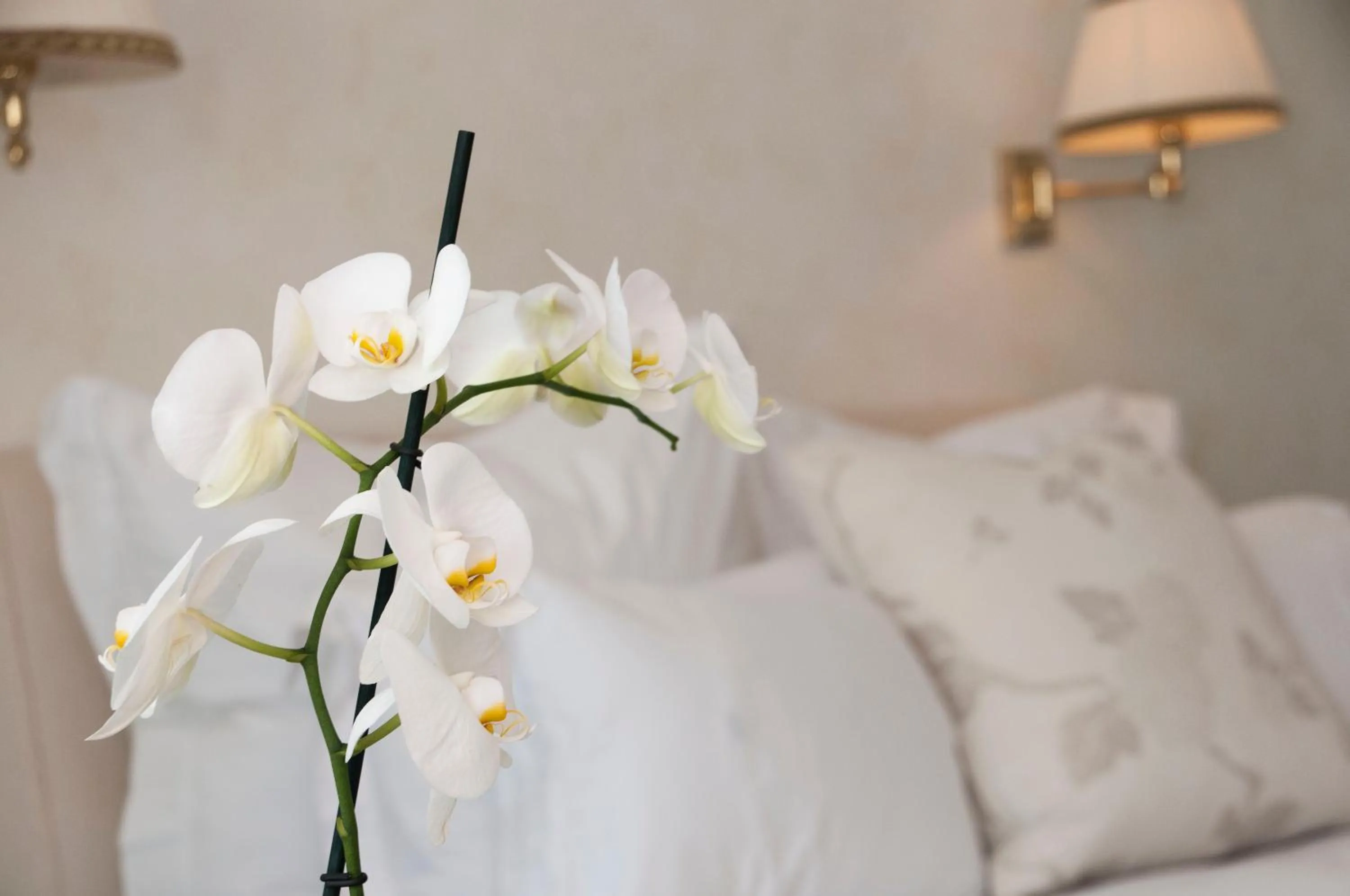 Decorative detail in Punta Molino Beach Resort & Thermal Spa