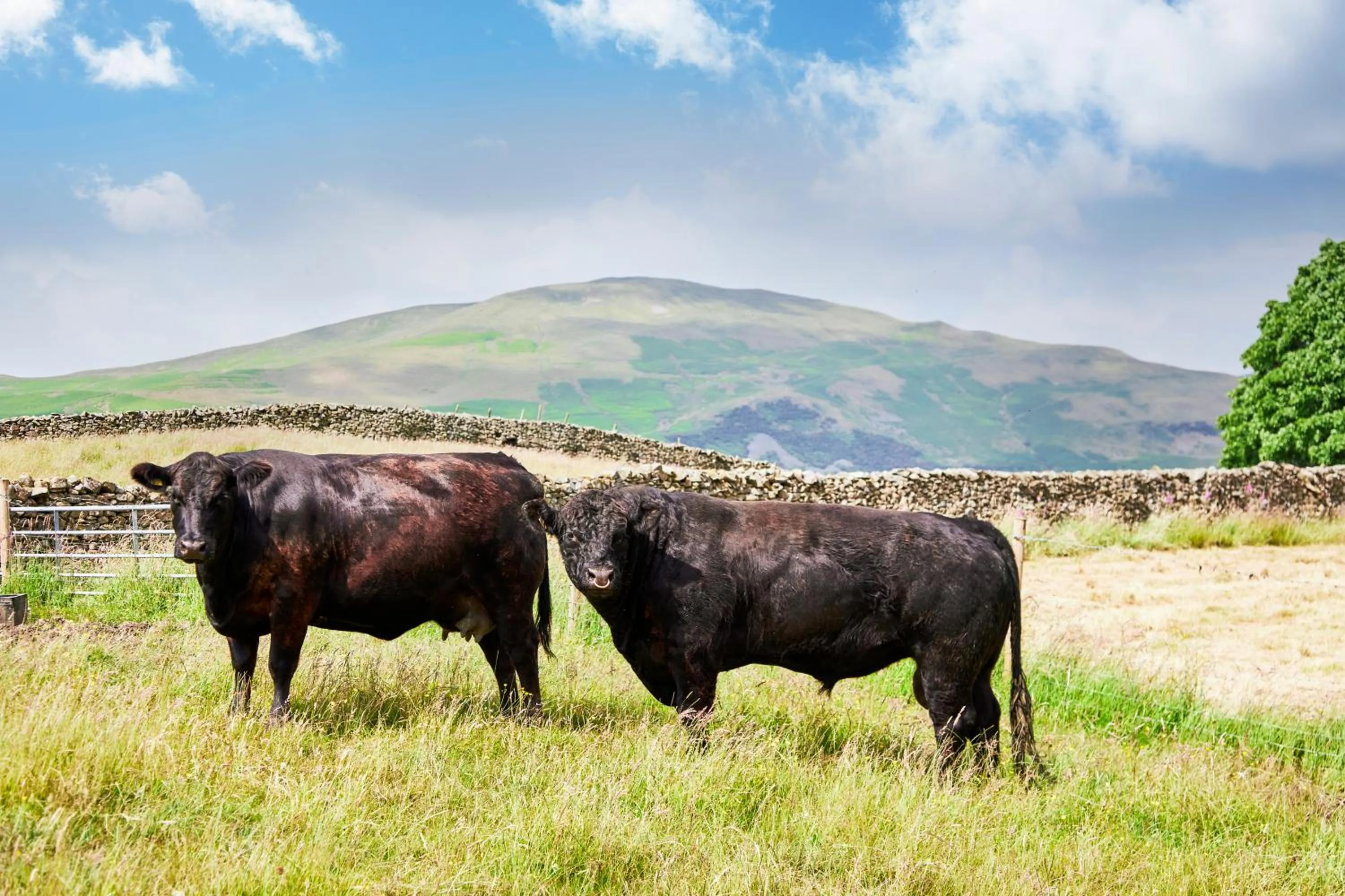 Nearby landmark in The Dalesman Country Inn