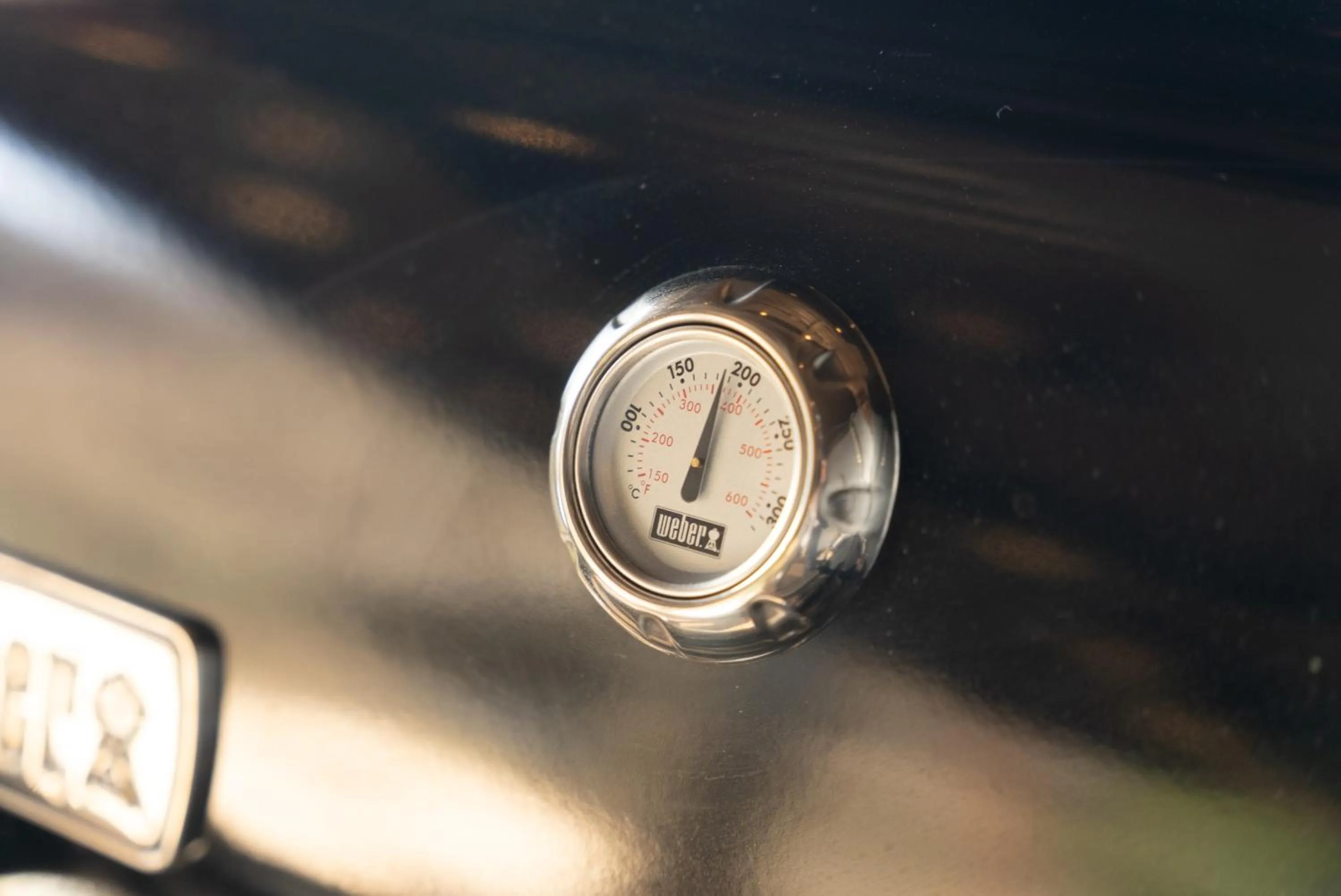 BBQ facilities in VILLA HAKONE湖空