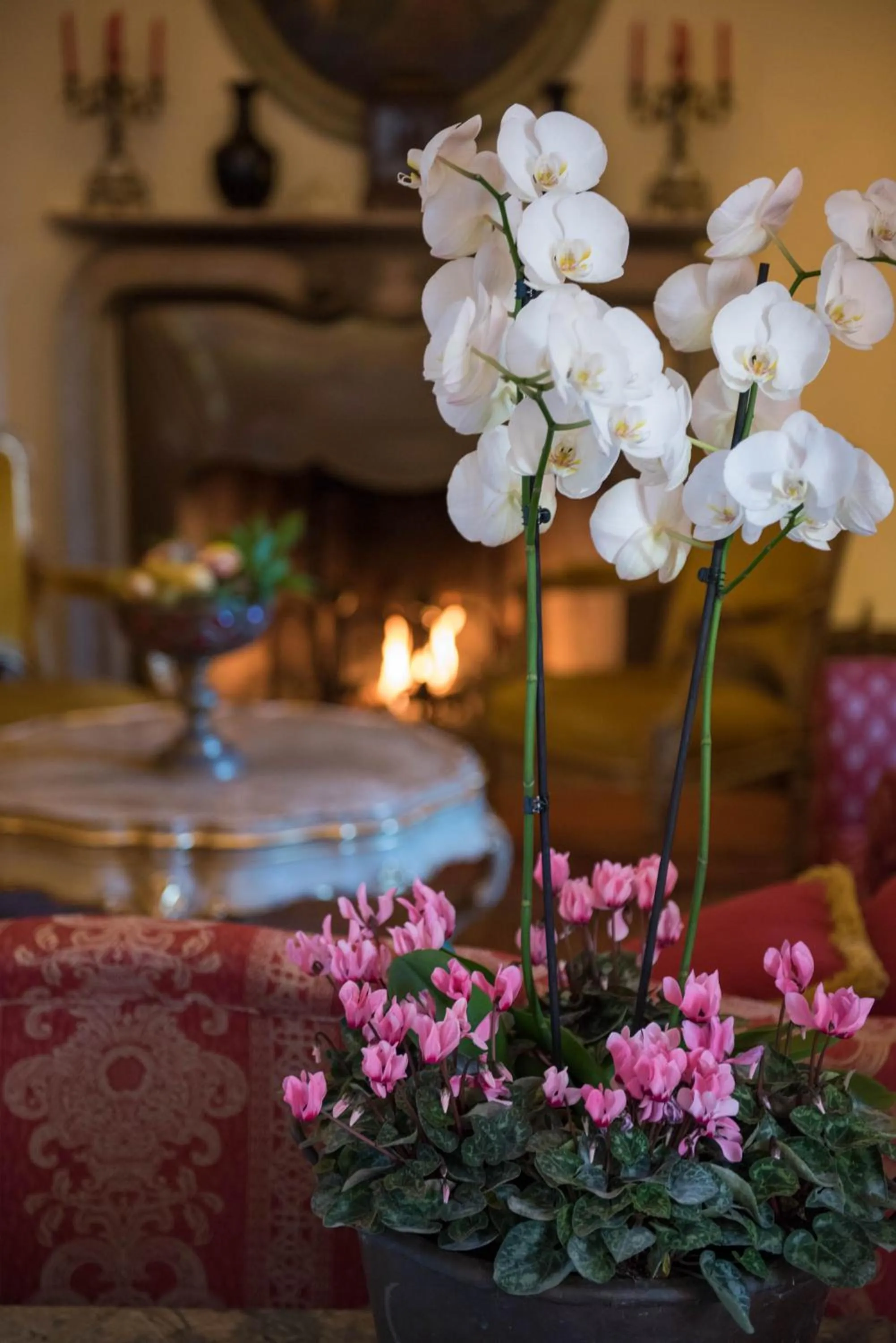 Lobby or reception in Tenuta La Bandita