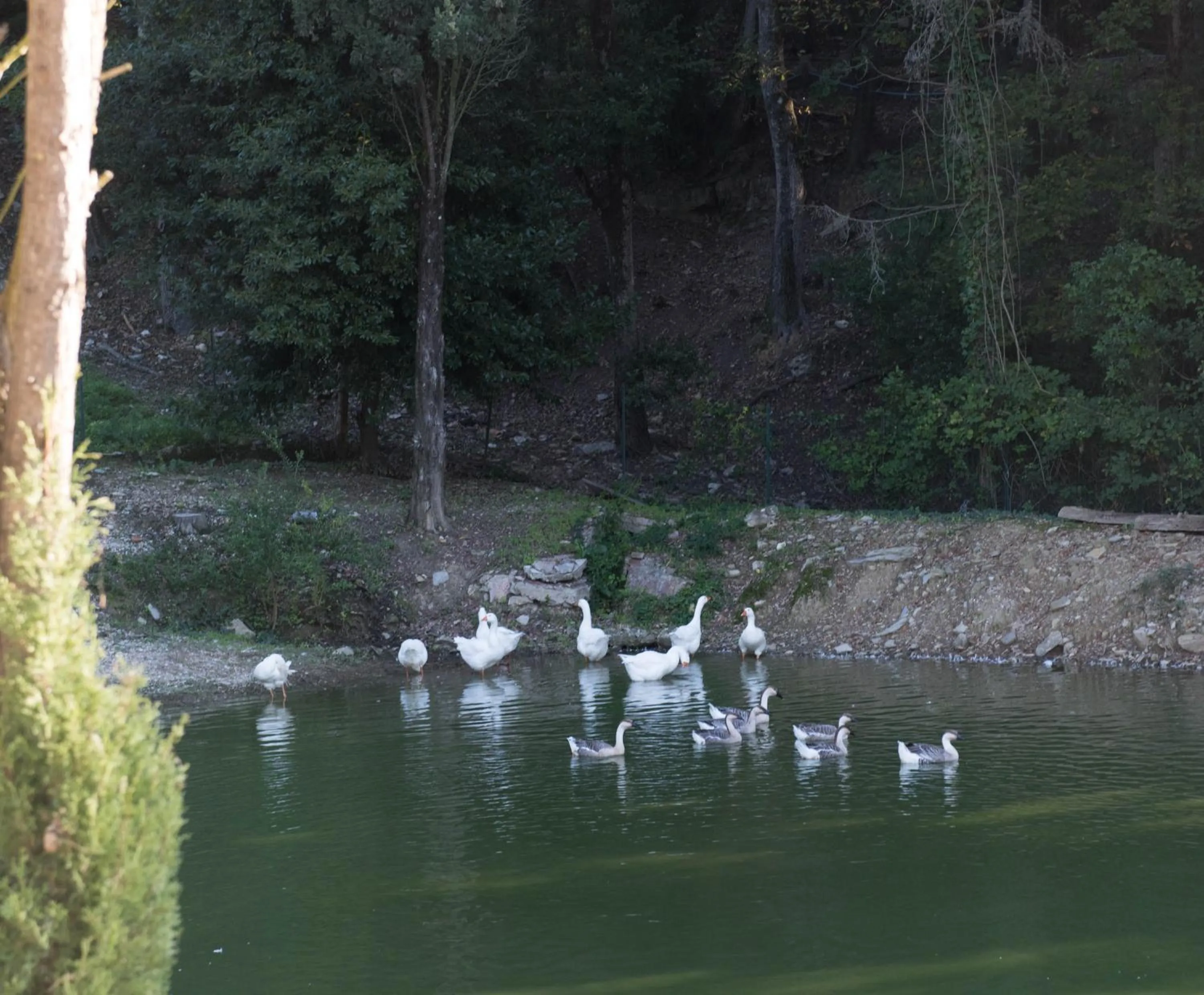 Natural landscape in Tenuta La Bandita