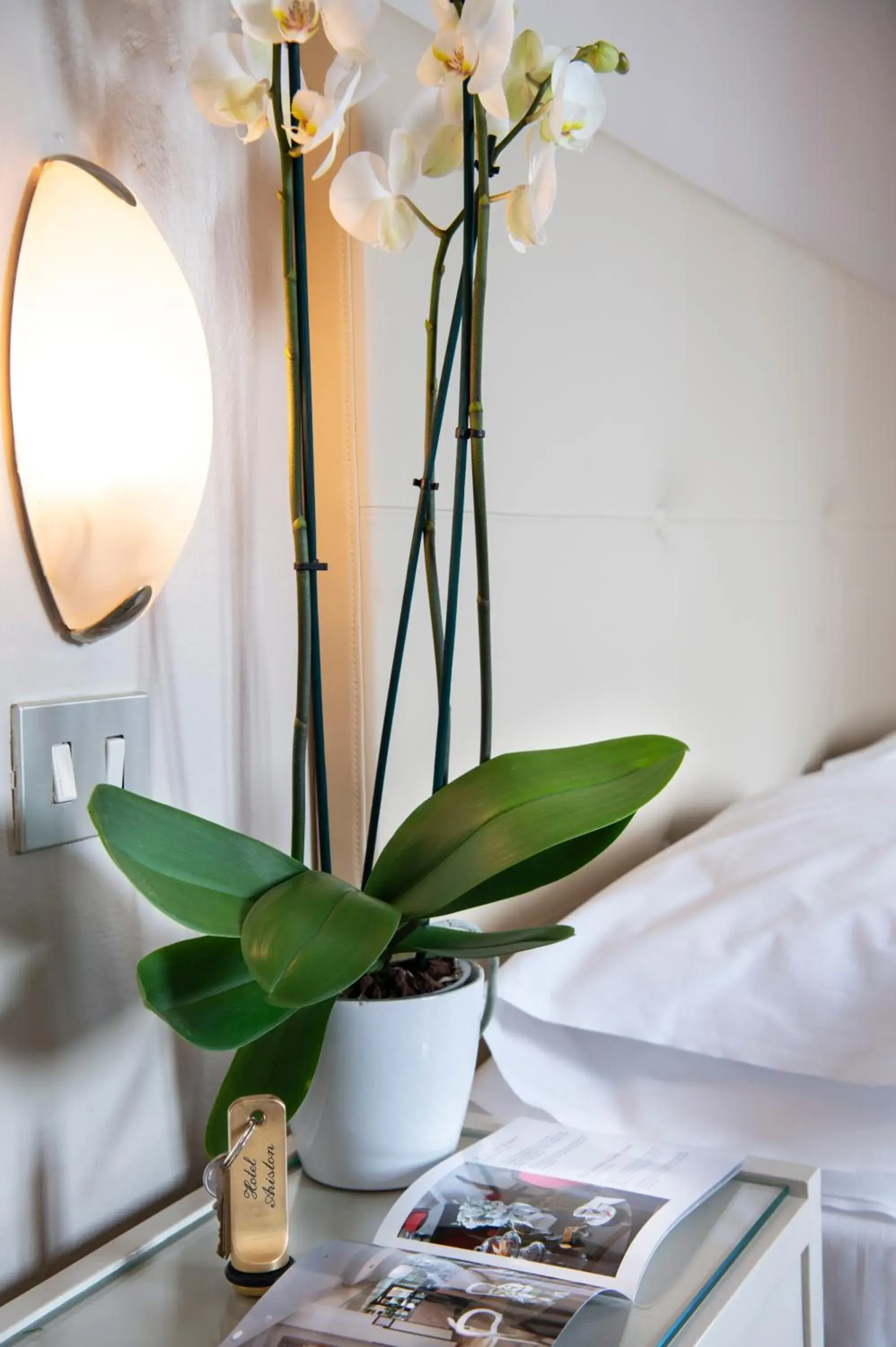 Economy Twin Room in Hotel Ariston & Spa Economy Twin Room in Hotel Ariston & Spa