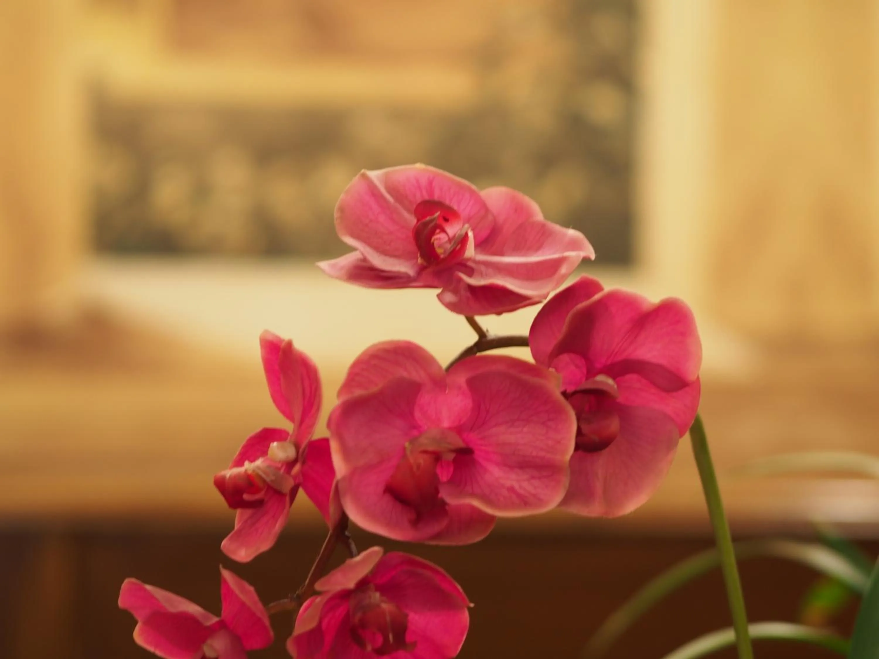 Lobby or reception in Hotel Santa Croce