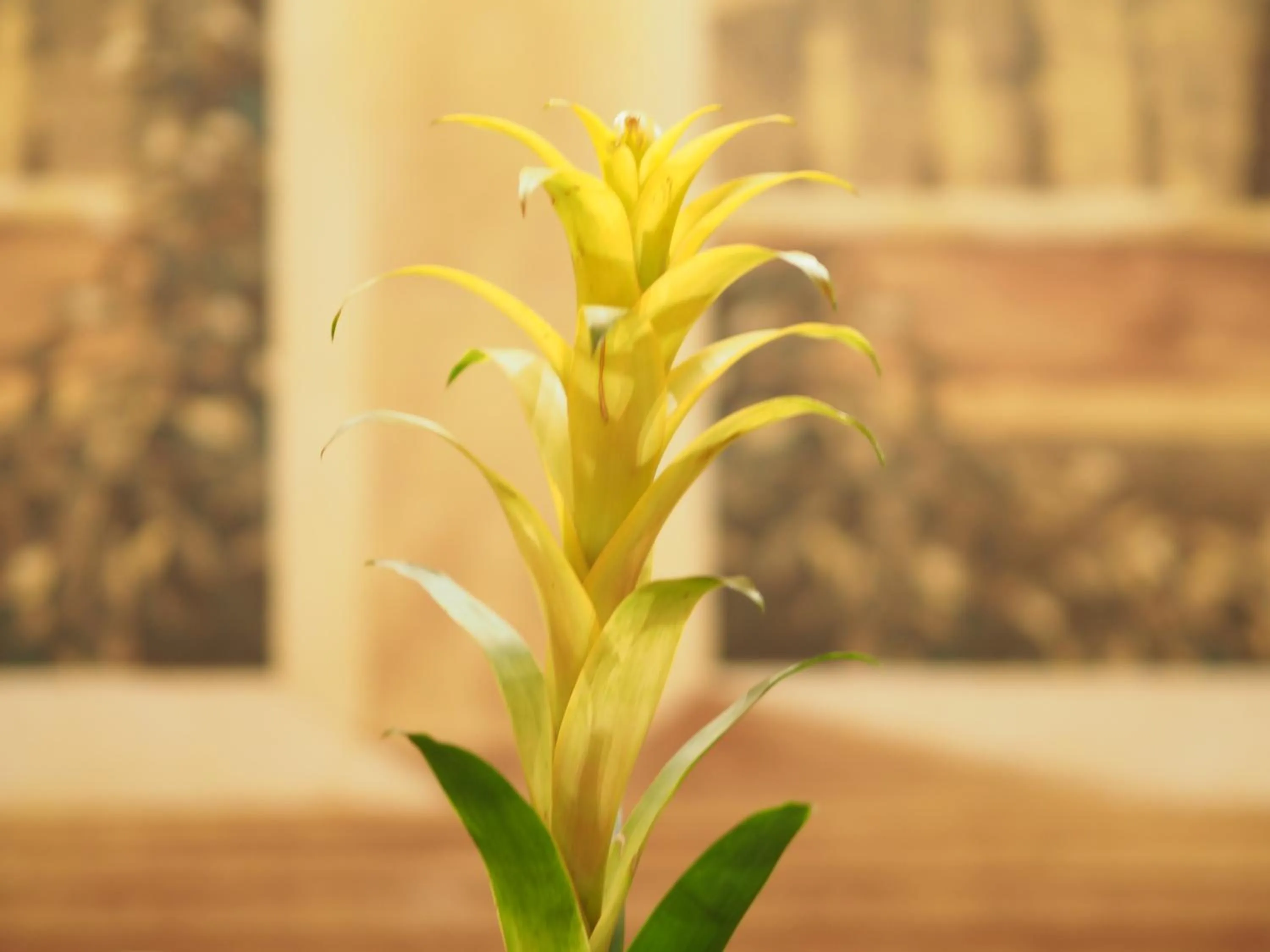 Communal lounge/ TV room in Hotel Santa Croce