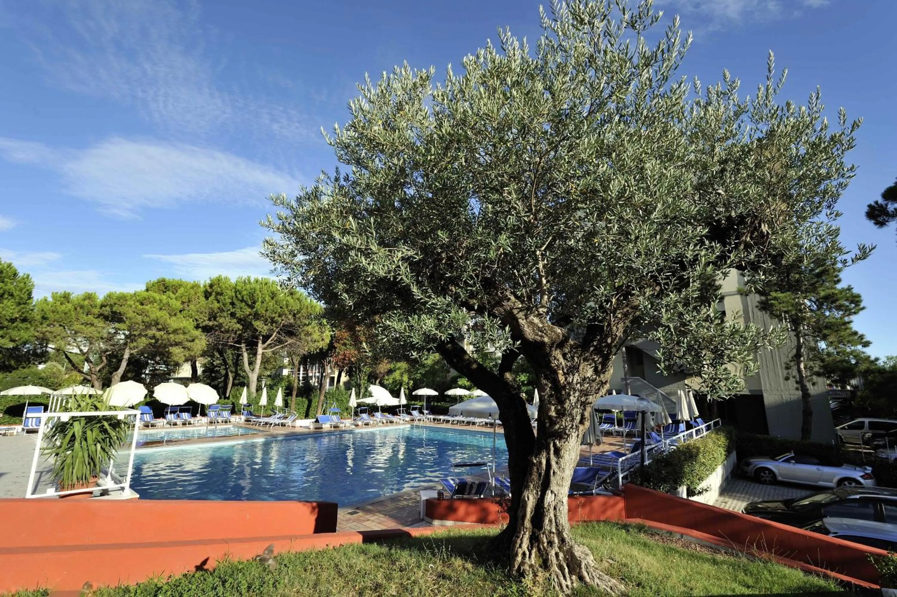 Garden view in Hotel Bembo