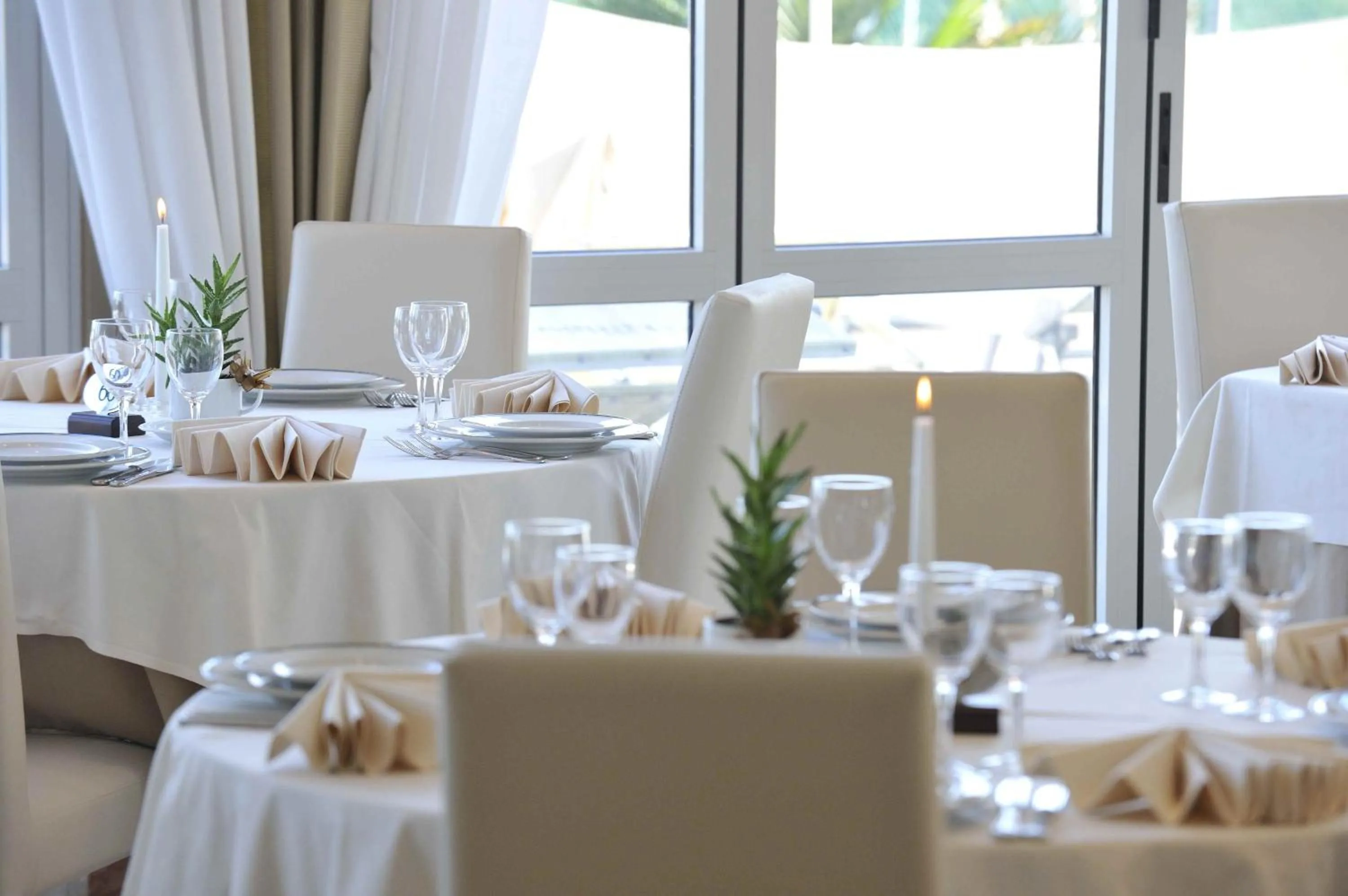 Restaurant/places to eat in Hotel Excelsior