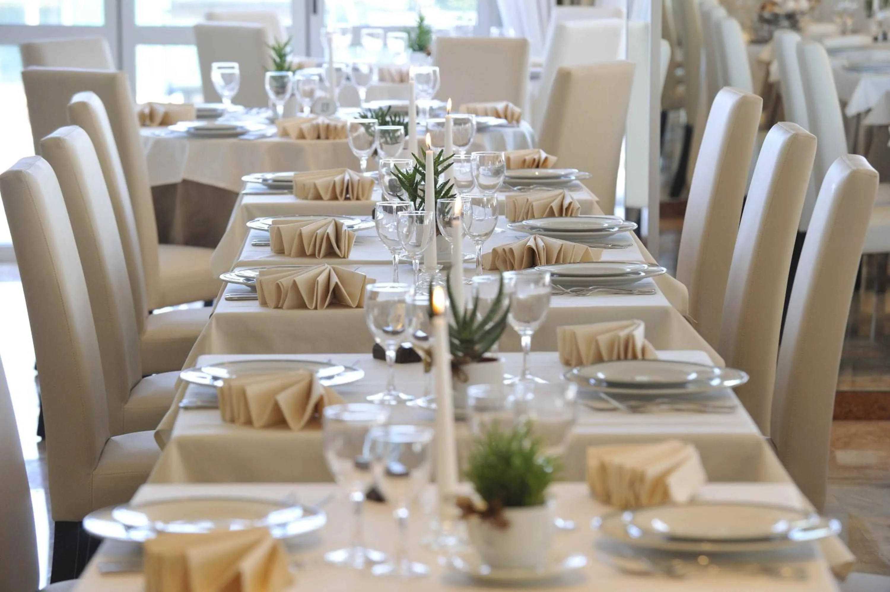 Restaurant/places to eat in Hotel Excelsior