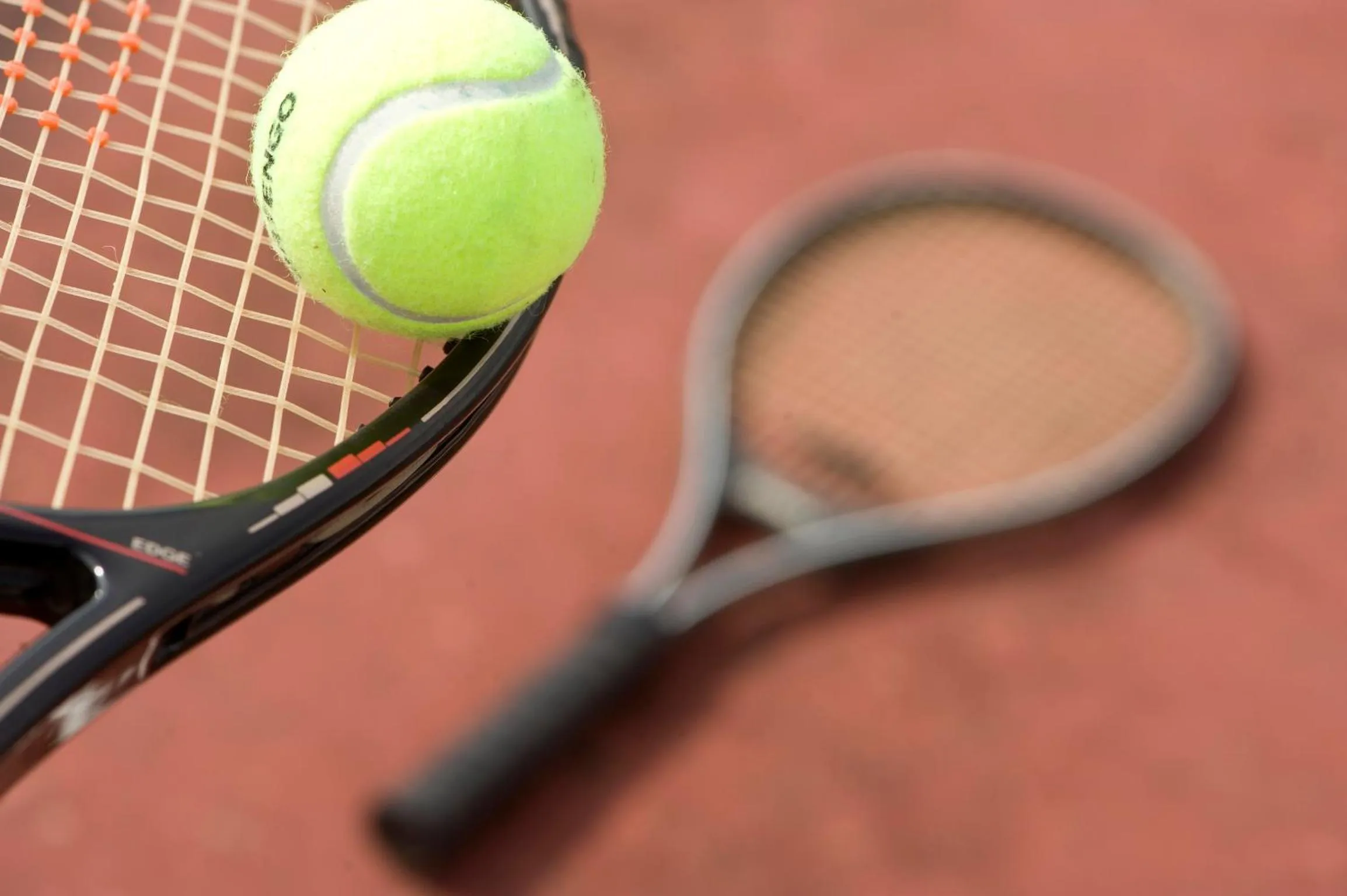 Activities in Hotel Excelsior