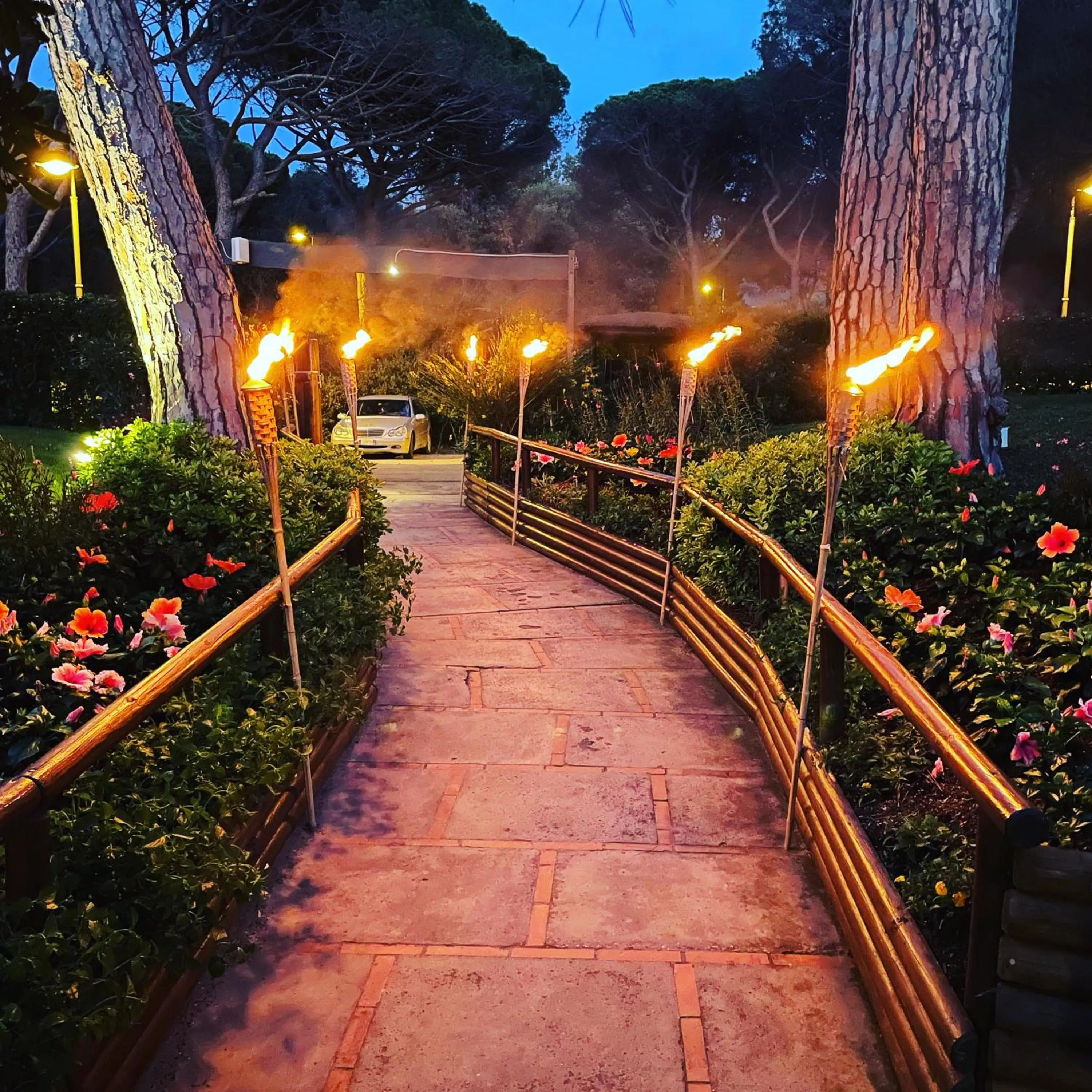 Restaurant/places to eat in Gallia Palace Hotel - Relais & Châteaux