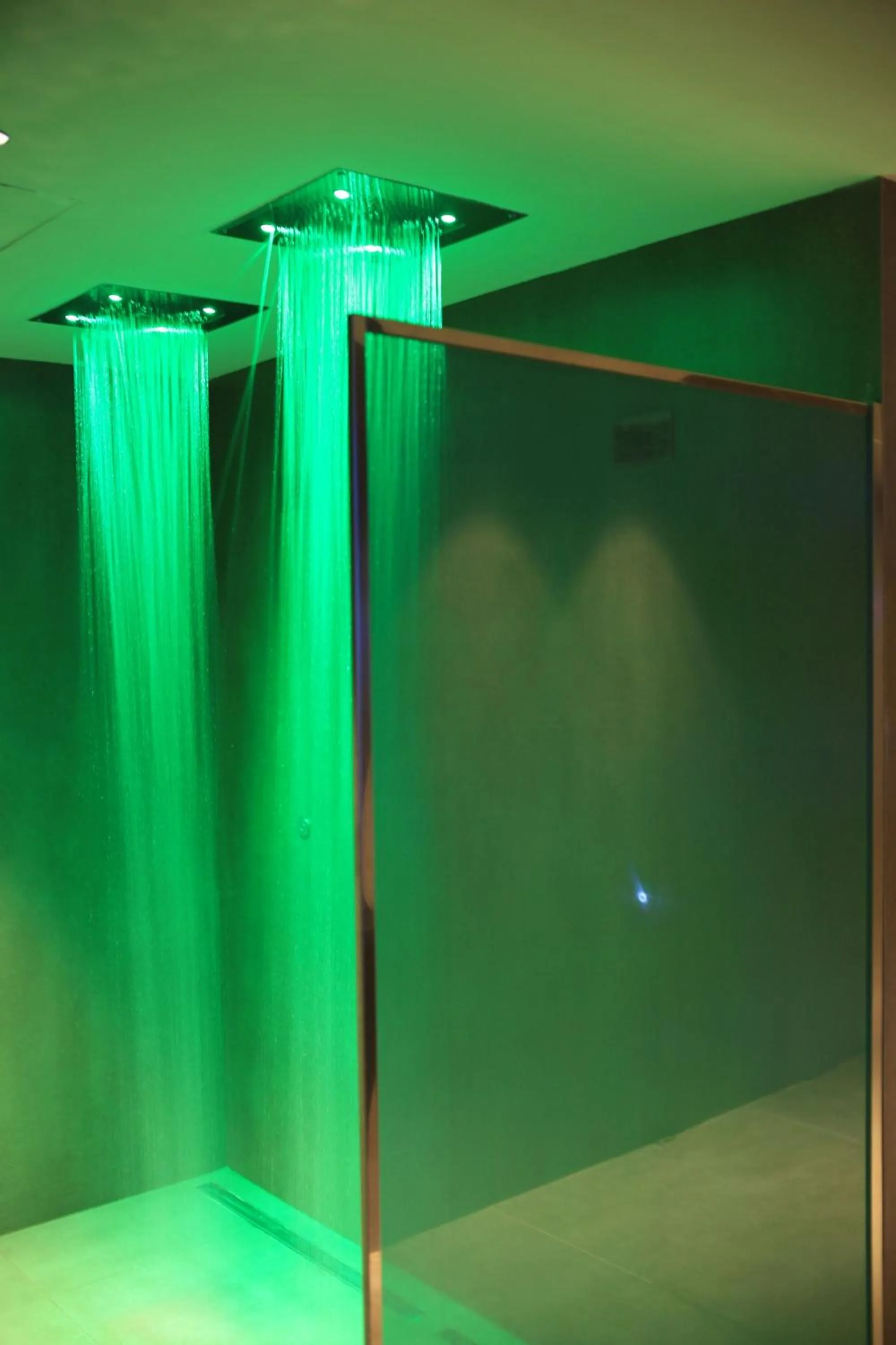 Spa and wellness centre/facilities in Gallia Palace Hotel - Relais & Châteaux