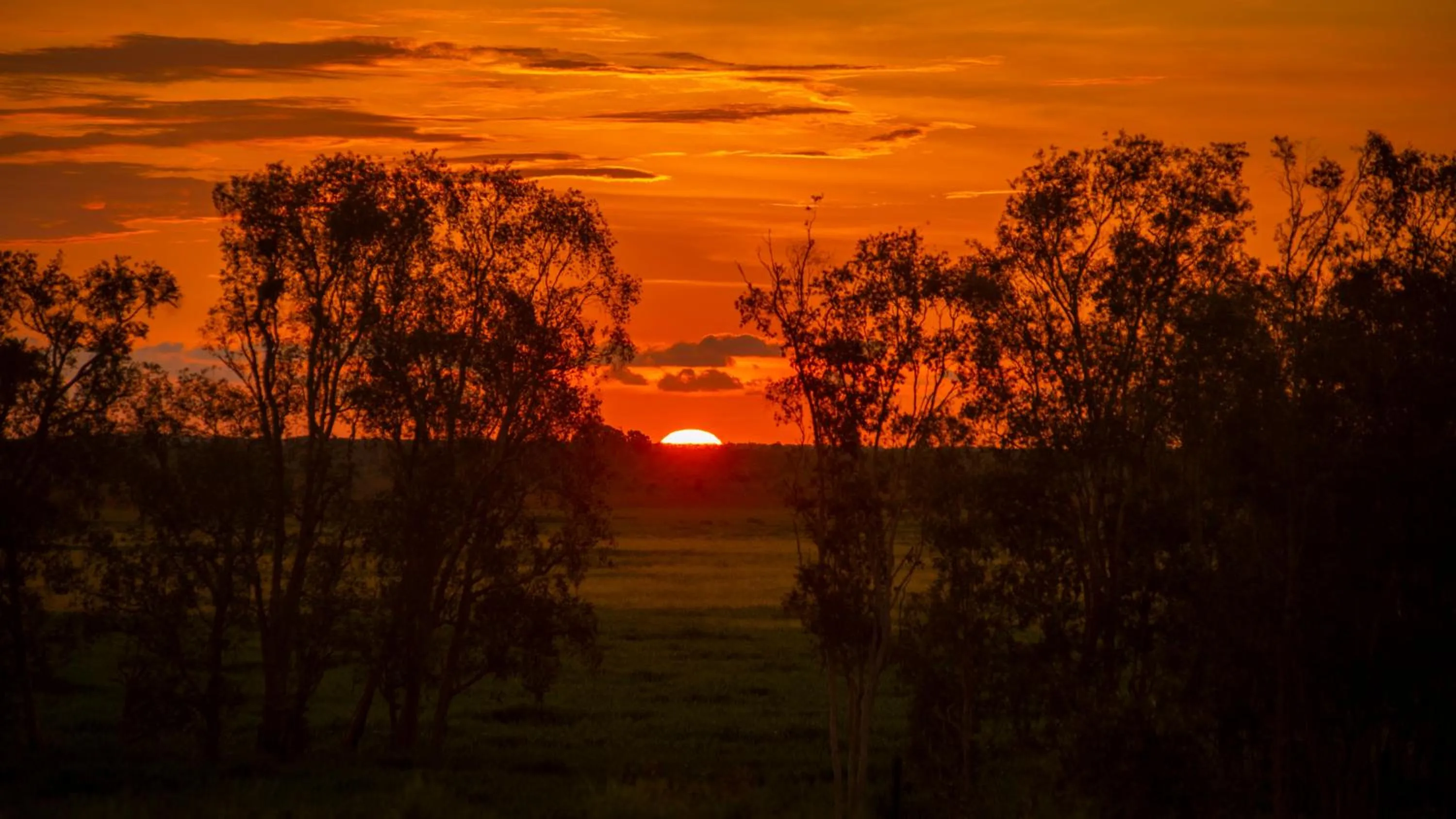 Natural landscape in Finniss River Lodge