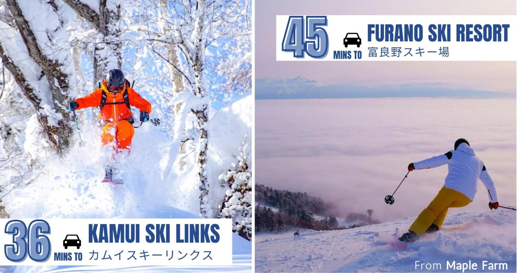 Winter in Maple Farm