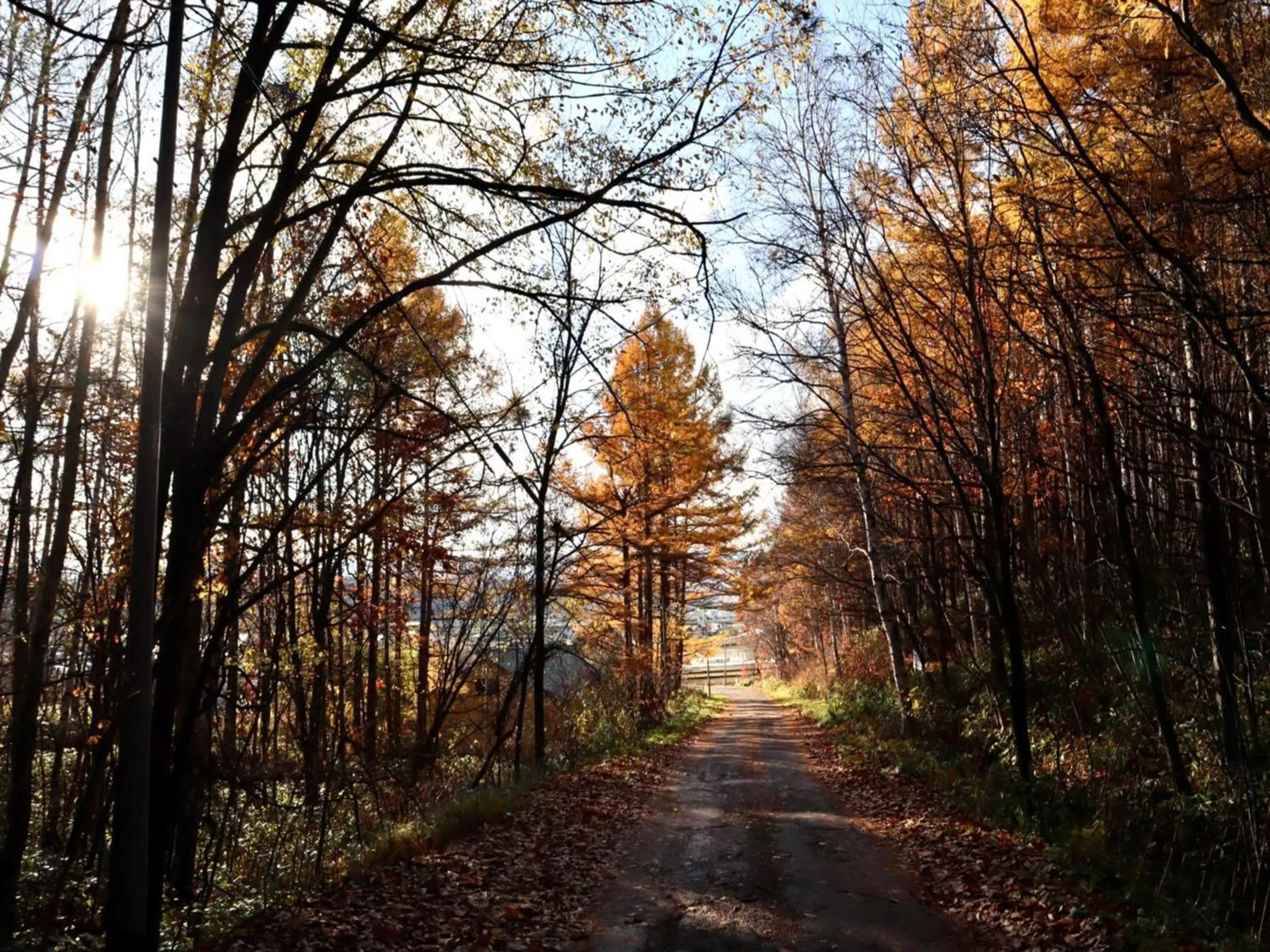 Off site in Maple Farm