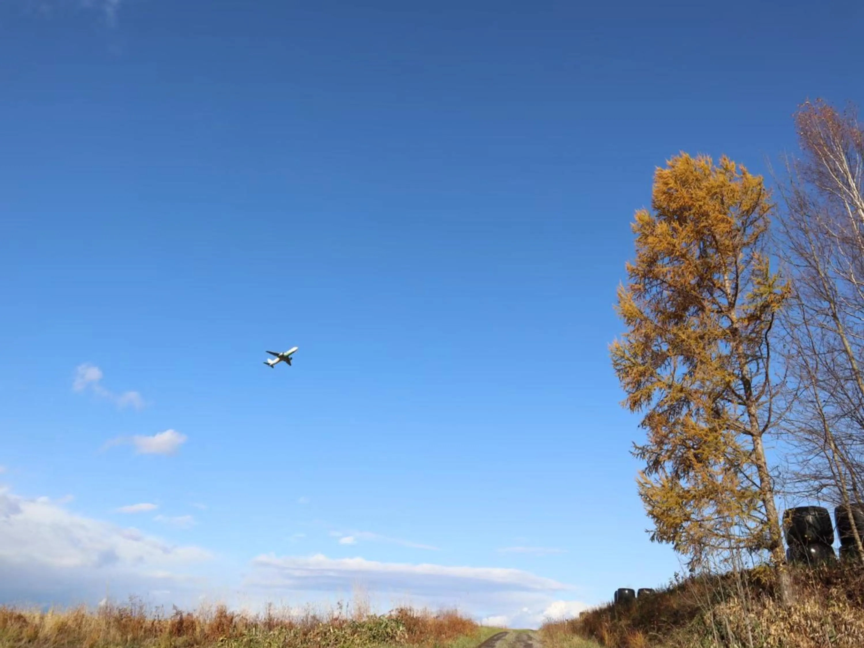 Off site in Maple Farm